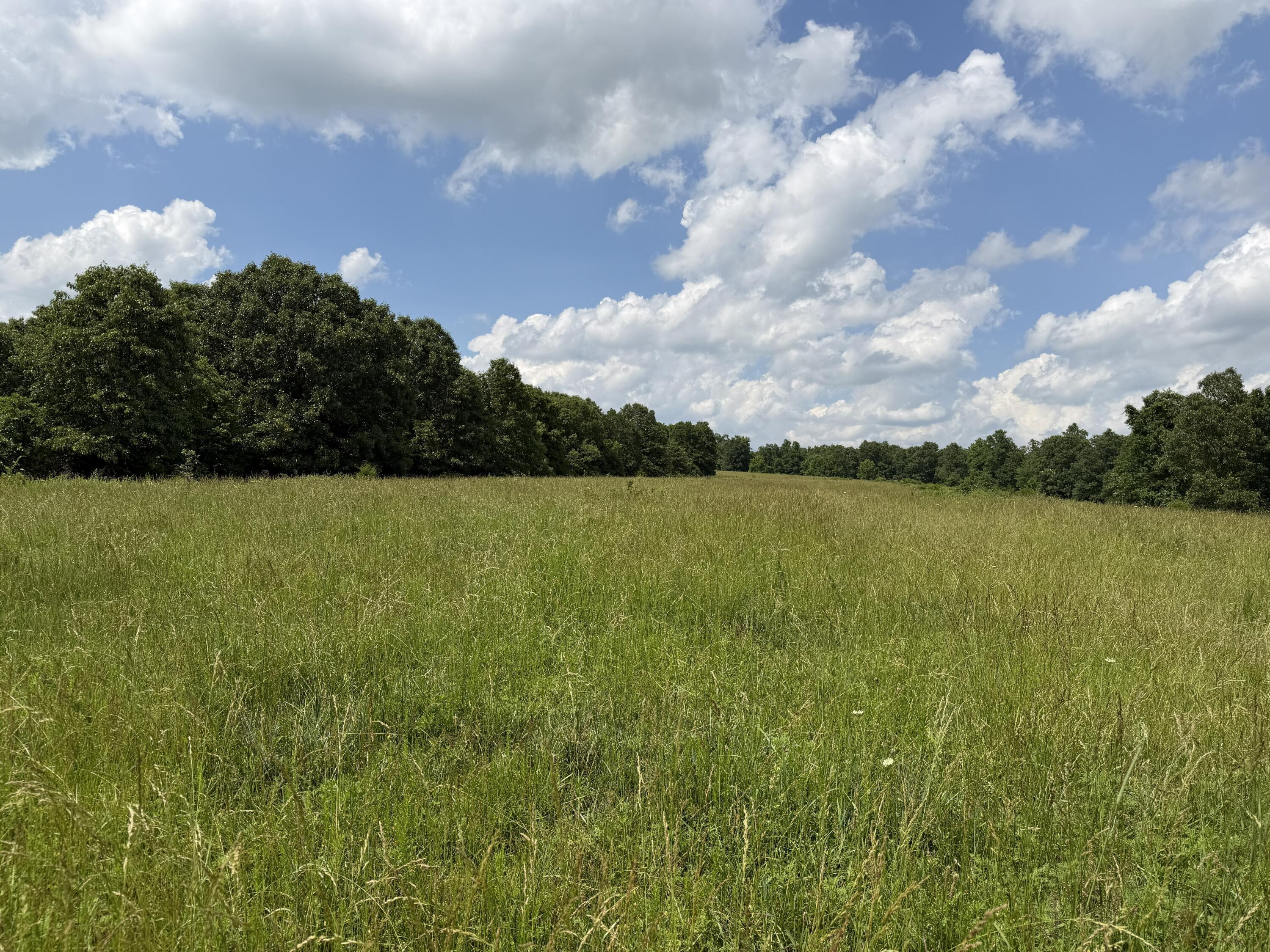 Photo 82 - Farm for sale – 000  Hc66   Sparta, MO