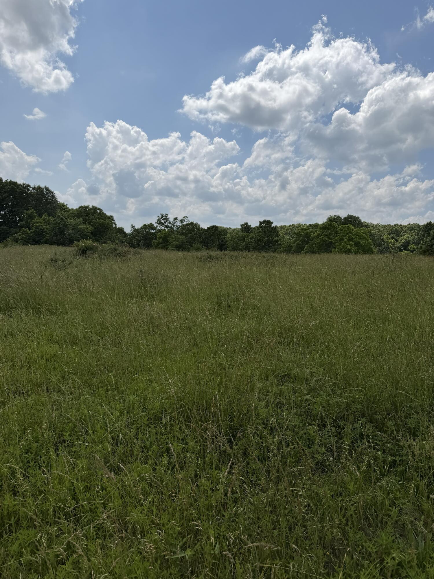 Photo 80 - Farm for sale – 000  Hc66   Sparta, MO