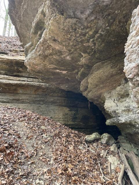Photo 11 - Farm for sale – 000  Hc66   Sparta, MO