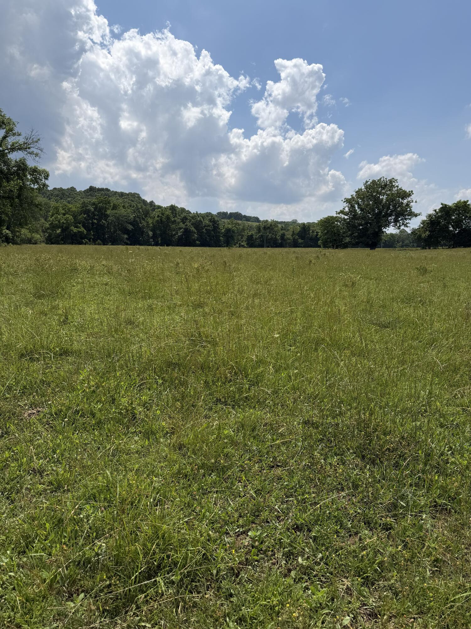 Photo 77 - Farm for sale – 000  Hc66   Sparta, MO