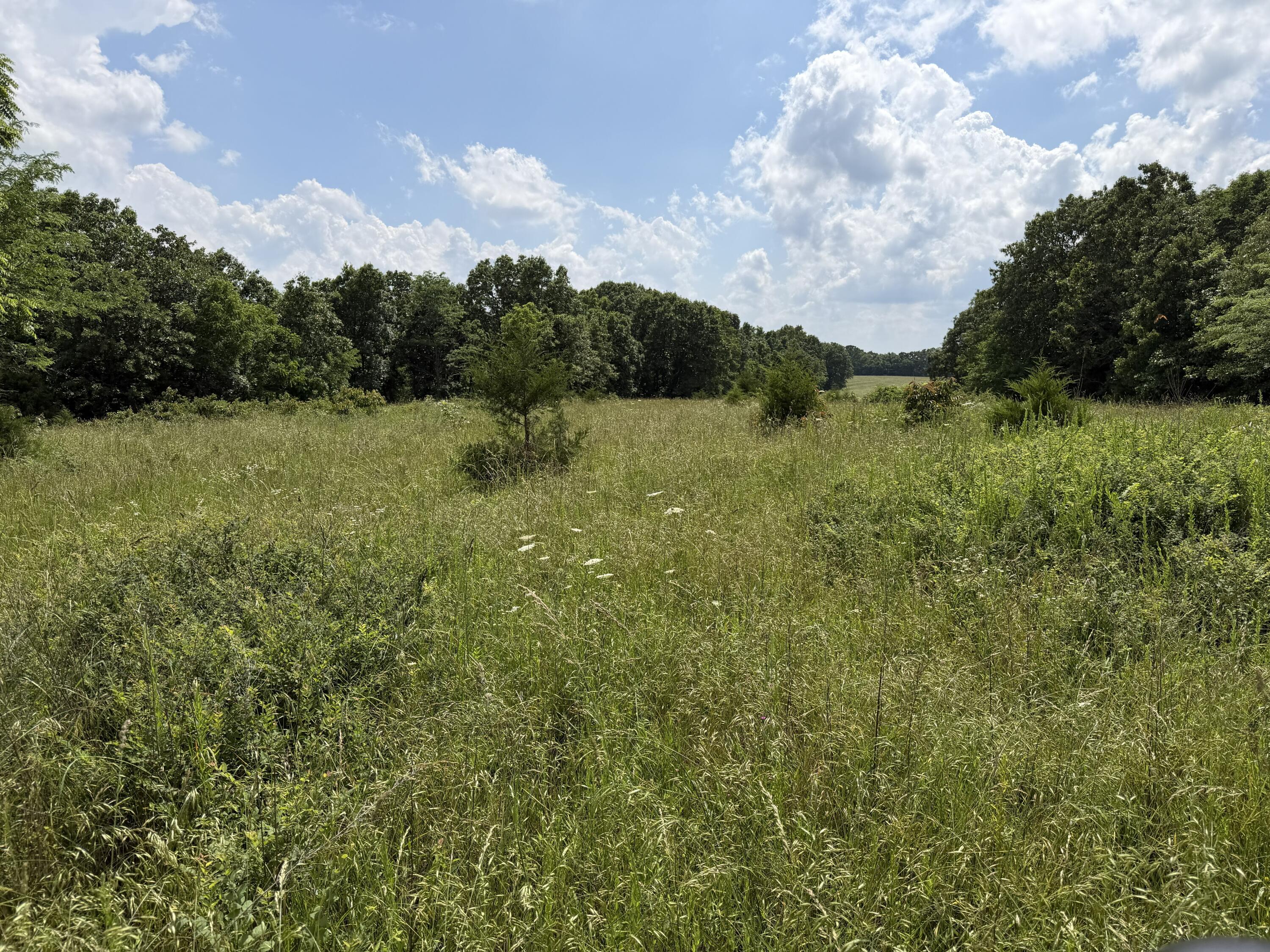 Photo 88 - Farm for sale – 000  Hc66   Sparta, MO
