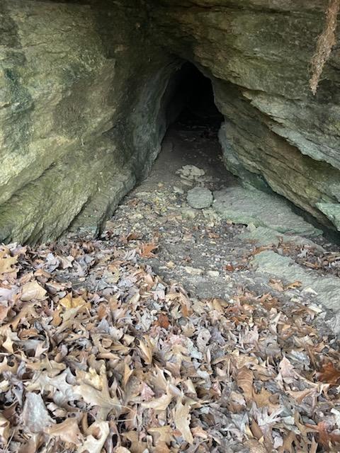 Photo 15 - Farm for sale – 000  Hc66   Sparta, MO