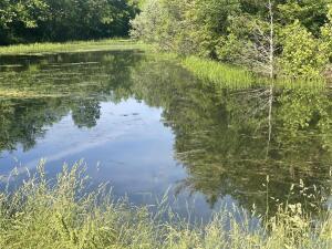 Photo 50 - Farm for sale – 000  Hc66   Sparta, MO