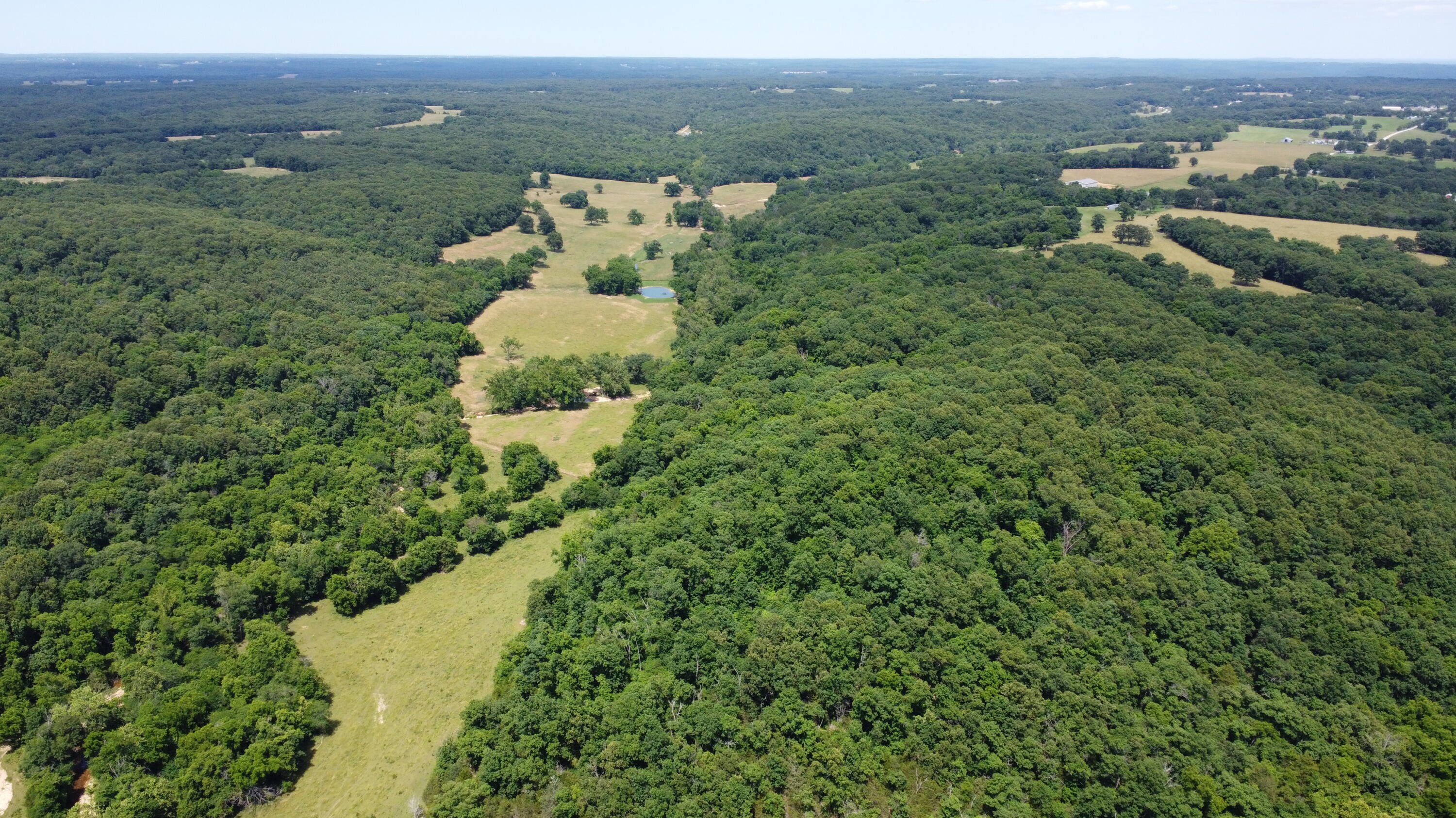 Photo 60 - Farm for sale – 000  Hc66   Sparta, MO
