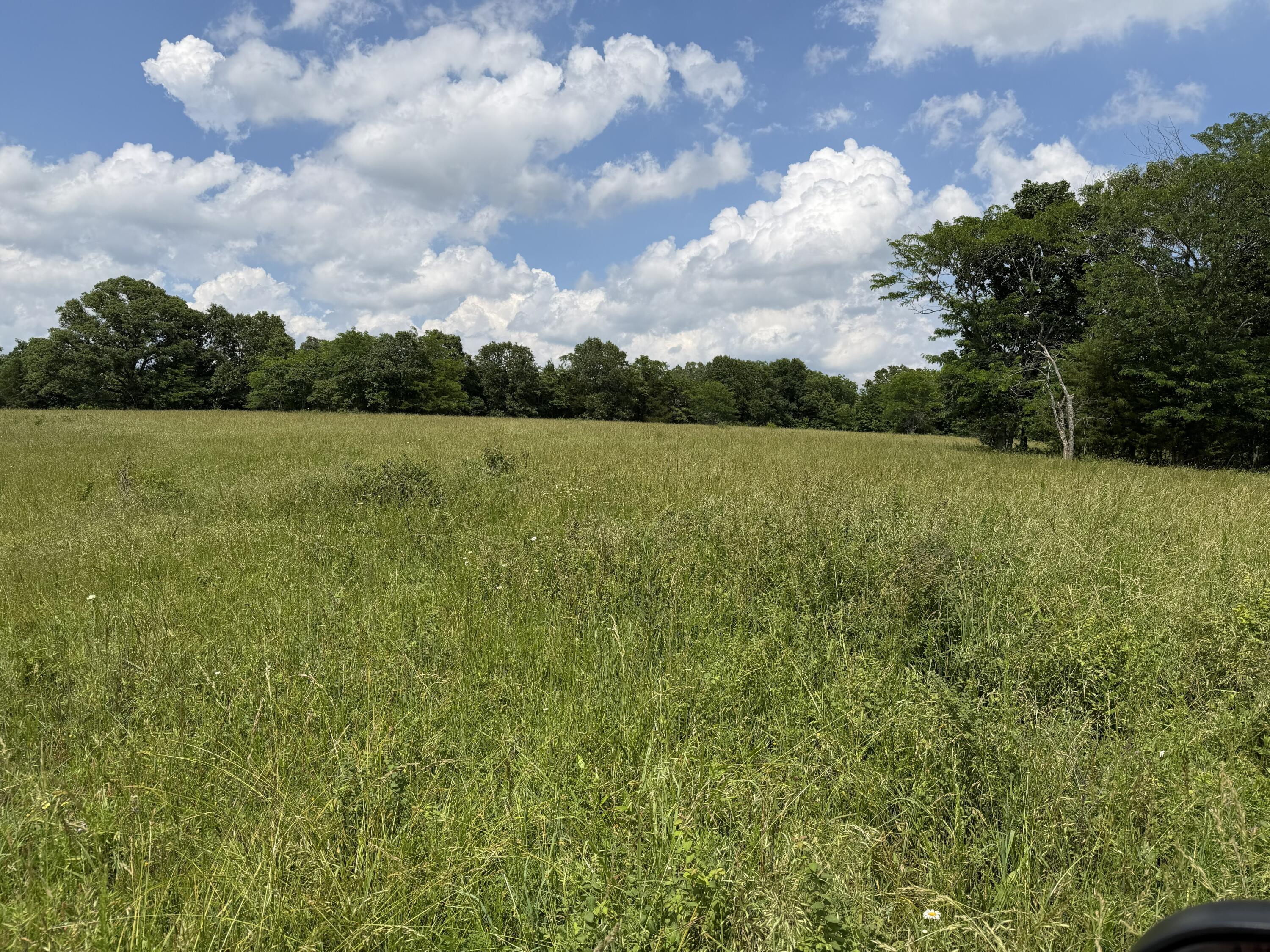 Photo 86 - Farm for sale – 000  Hc66   Sparta, MO