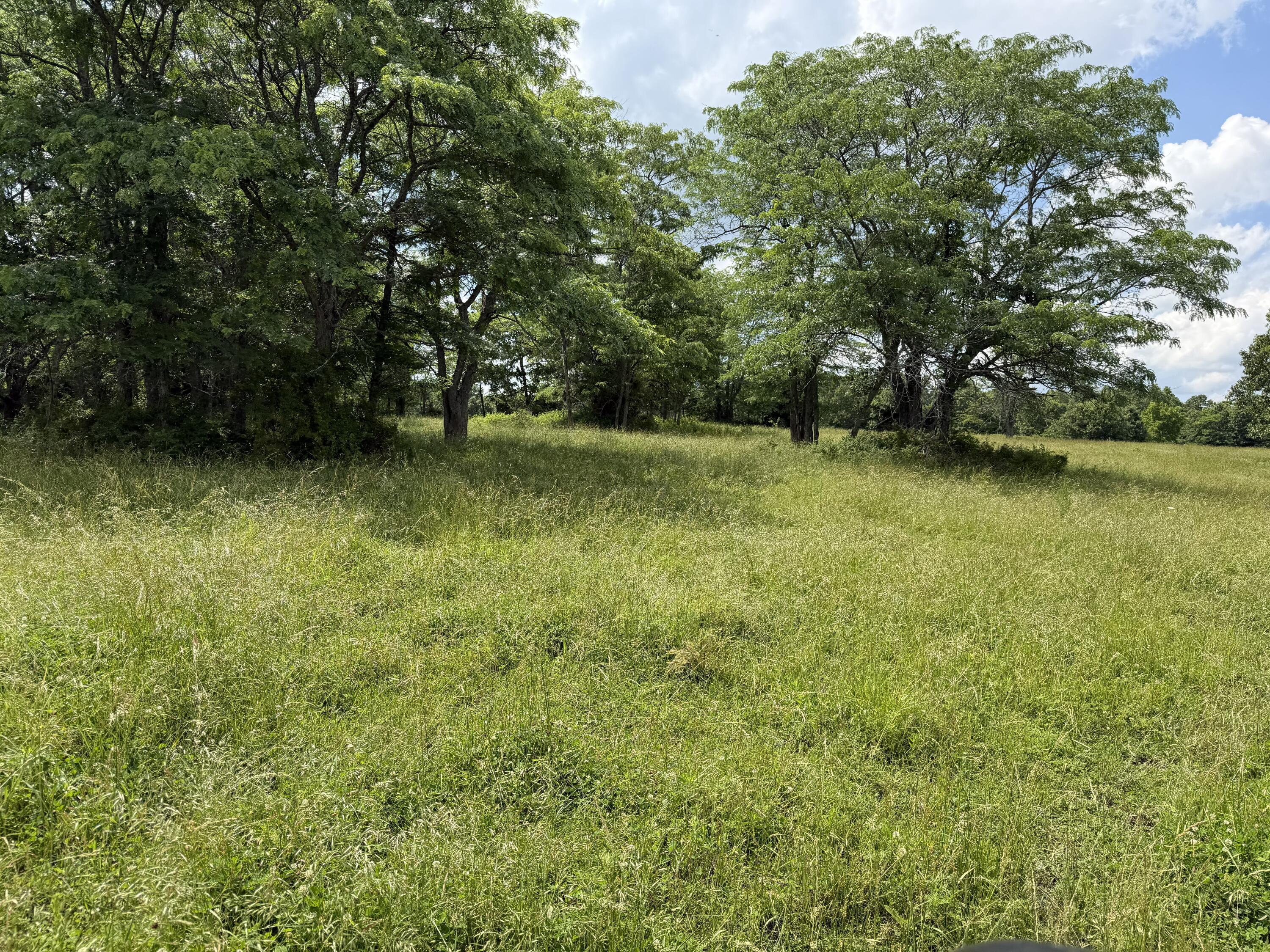 Photo 84 - Farm for sale – 000  Hc66   Sparta, MO