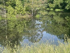 Photo 51 - Farm for sale – 000  Hc66   Sparta, MO