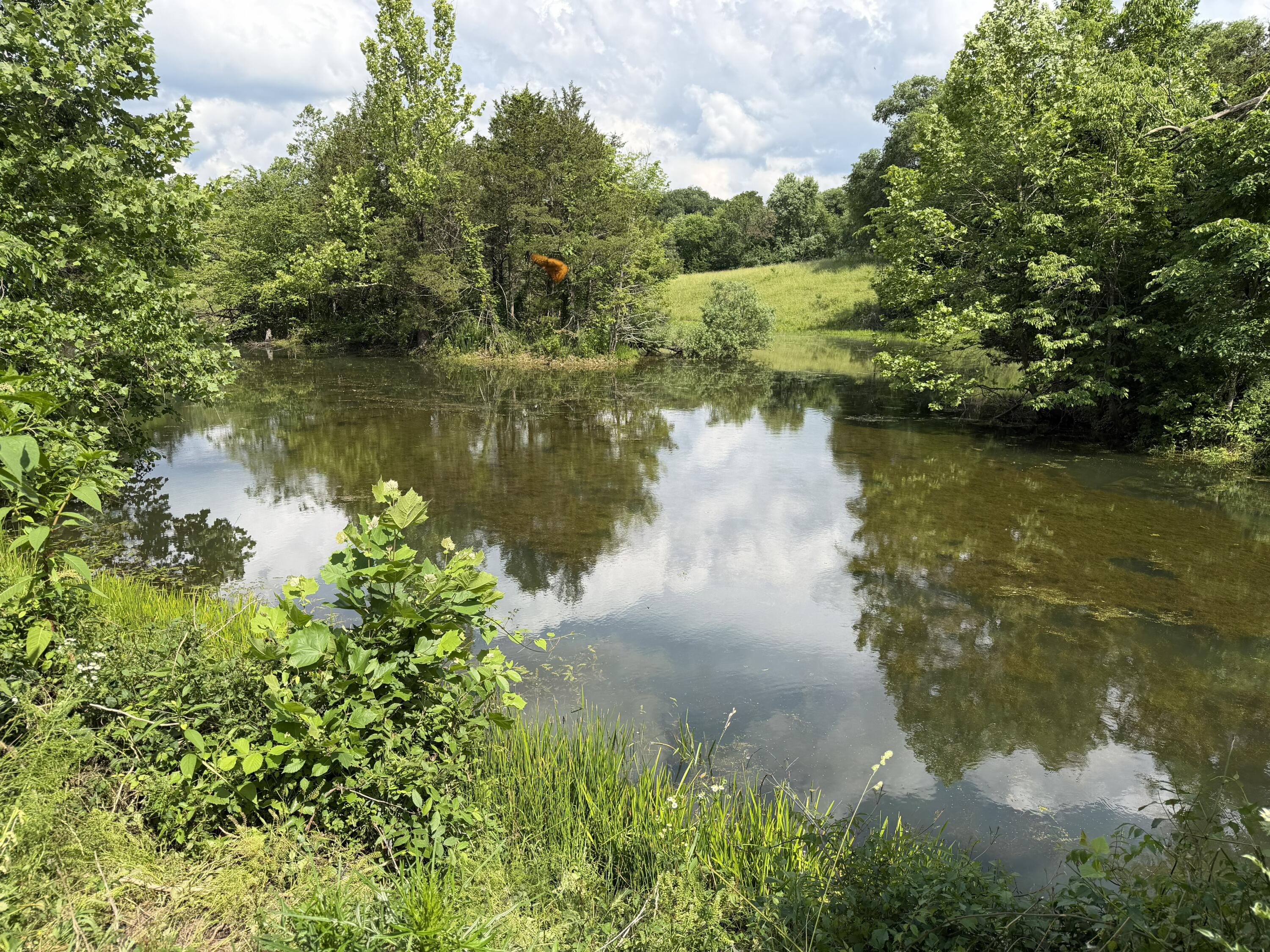 Photo 104 - Farm for sale – 000  Hc66   Sparta, MO