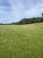 Photo 19 - Farm for sale – 000  Hc66   Sparta, MO