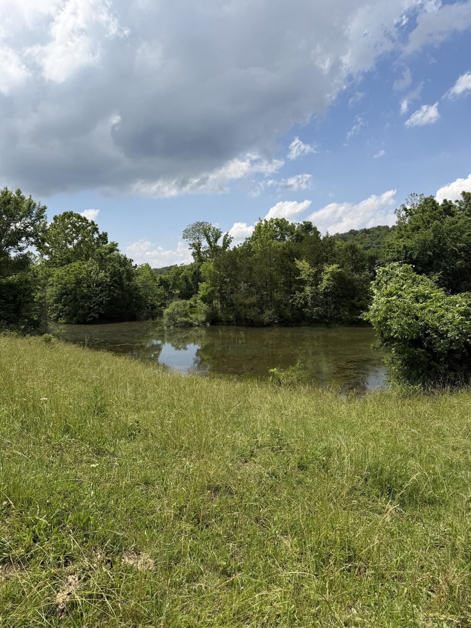 Photo 9 - Farm for sale – 000  Hc66   Sparta, MO