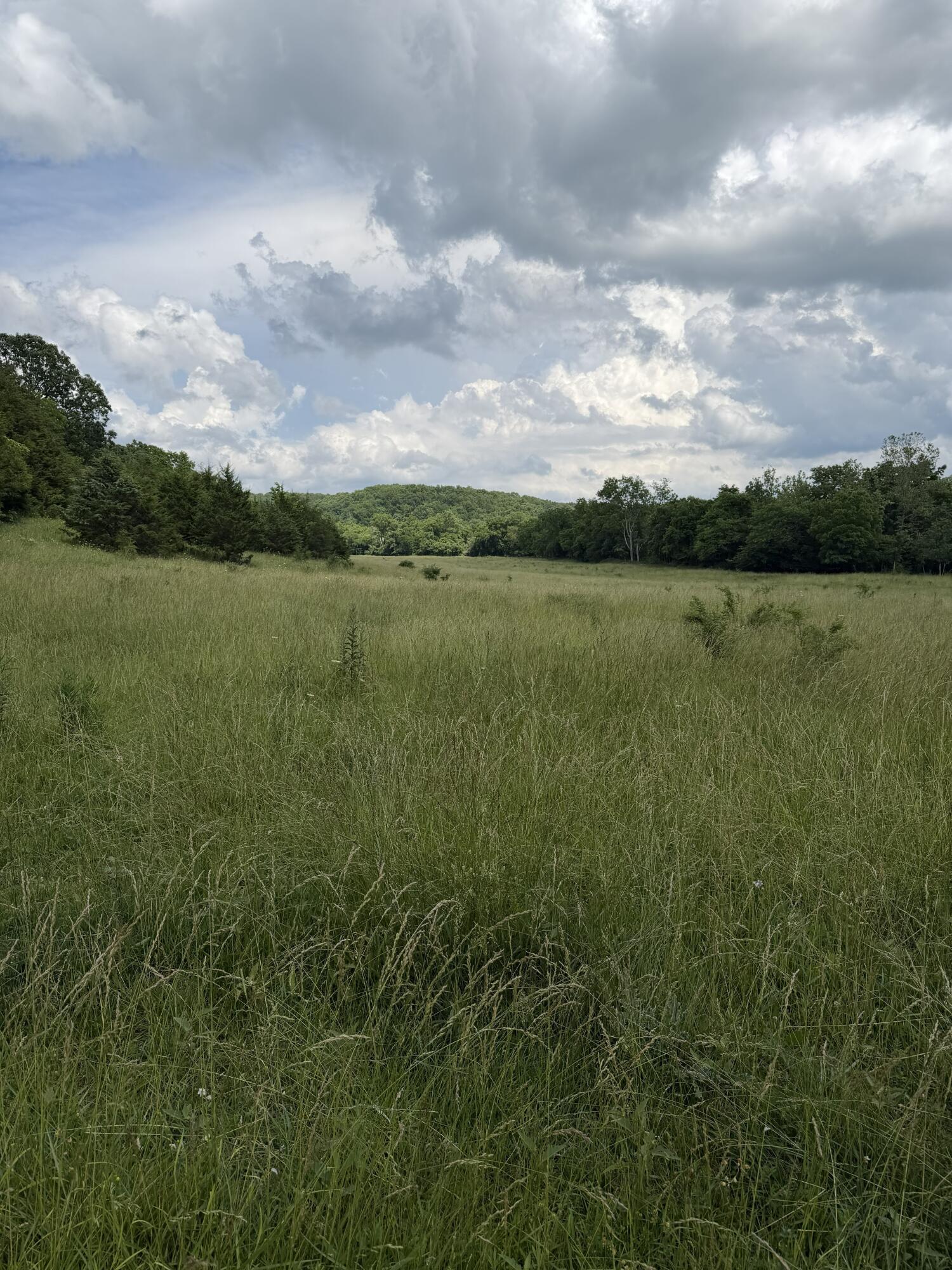 Photo 96 - Farm for sale – 000  Hc66   Sparta, MO