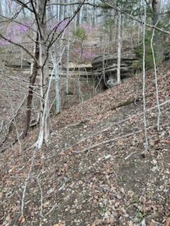 Photo 14 - Farm for sale – 000  Hc66   Sparta, MO