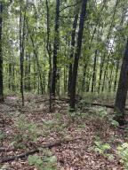 Photo 29 - Farm for sale – 000  Hc66   Sparta, MO