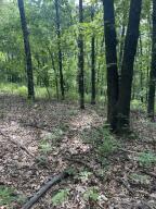 Photo 28 - Farm for sale – 000  Hc66   Sparta, MO
