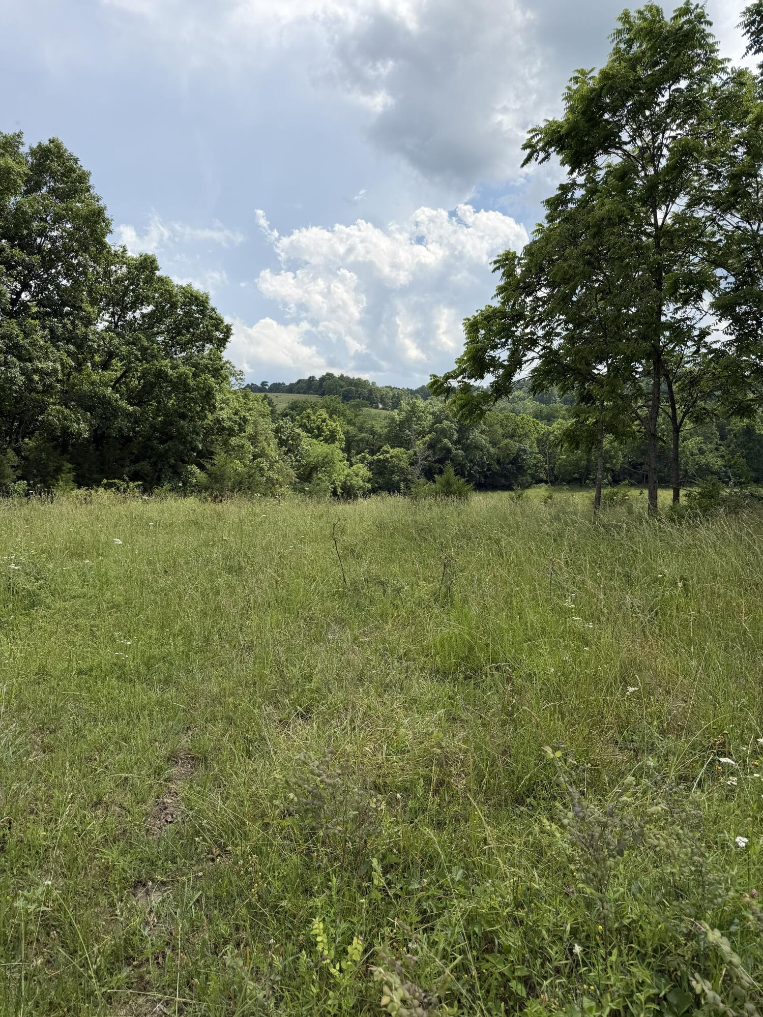 Photo 75 - Farm for sale – 000  Hc66   Sparta, MO