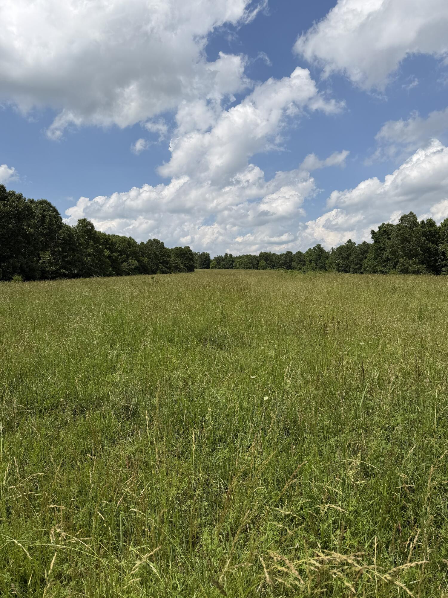 Photo 81 - Farm for sale – 000  Hc66   Sparta, MO