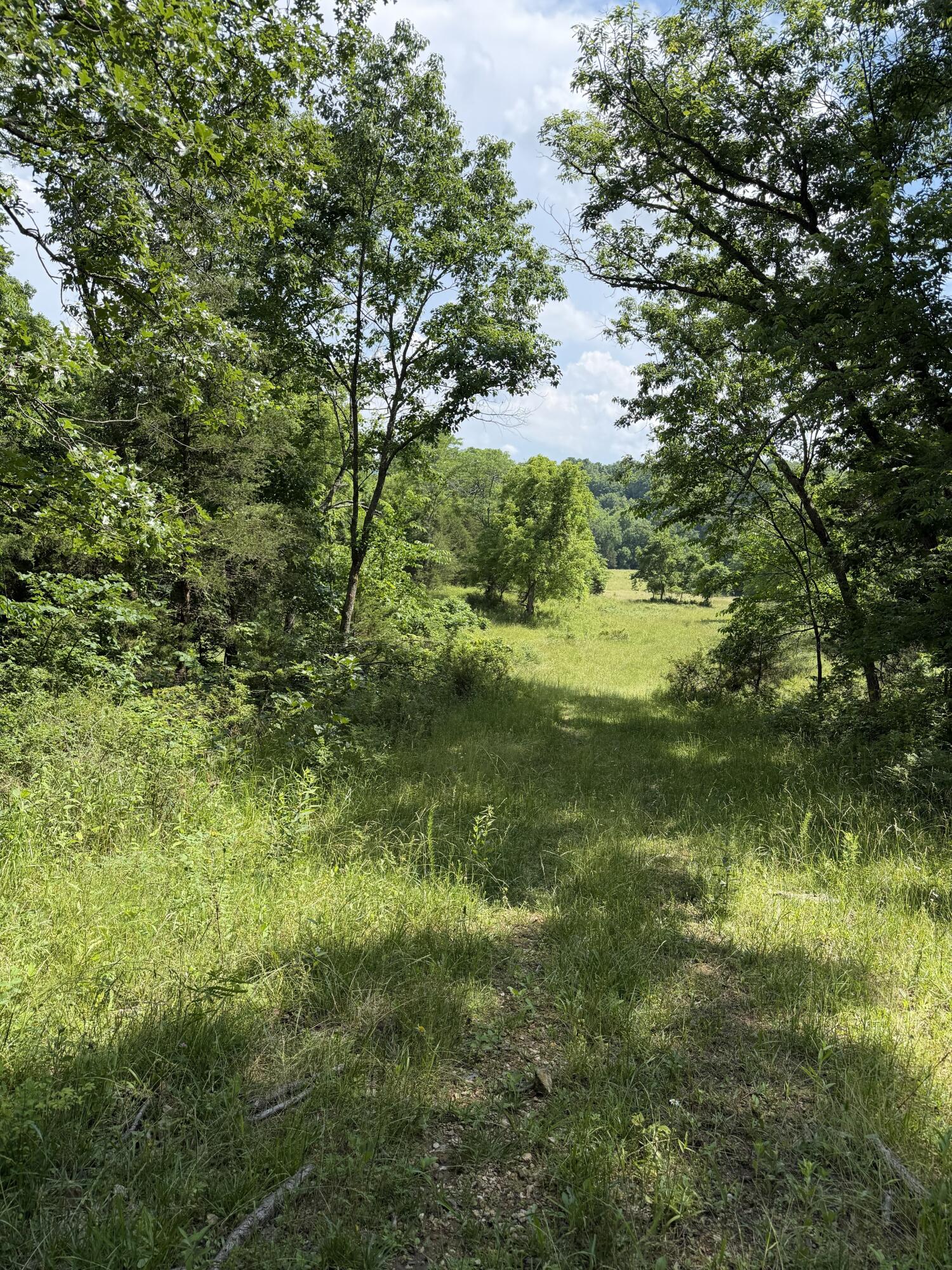 Photo 95 - Farm for sale – 000  Hc66   Sparta, MO