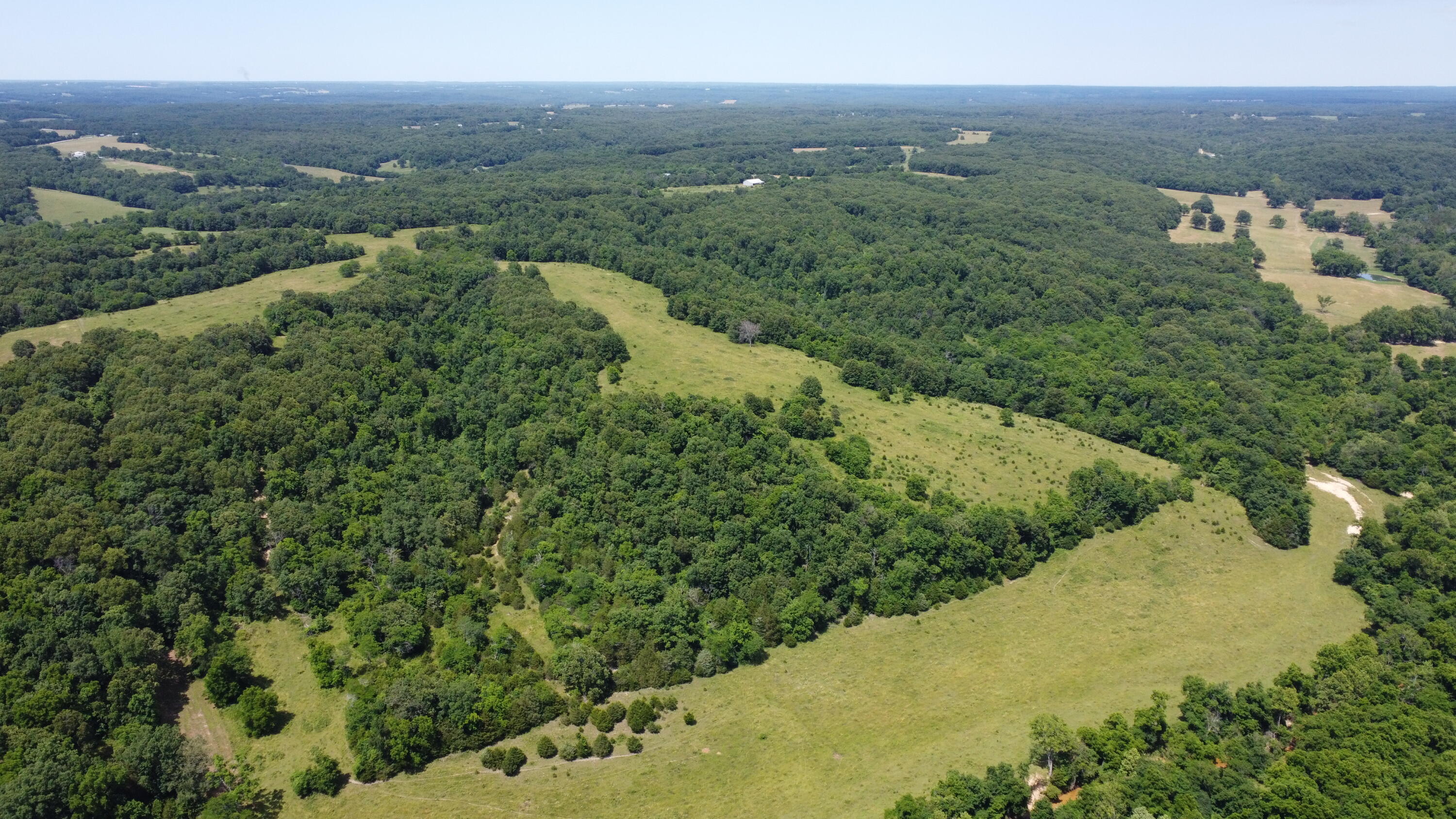 Photo 65 - Farm for sale – 000  Hc66   Sparta, MO