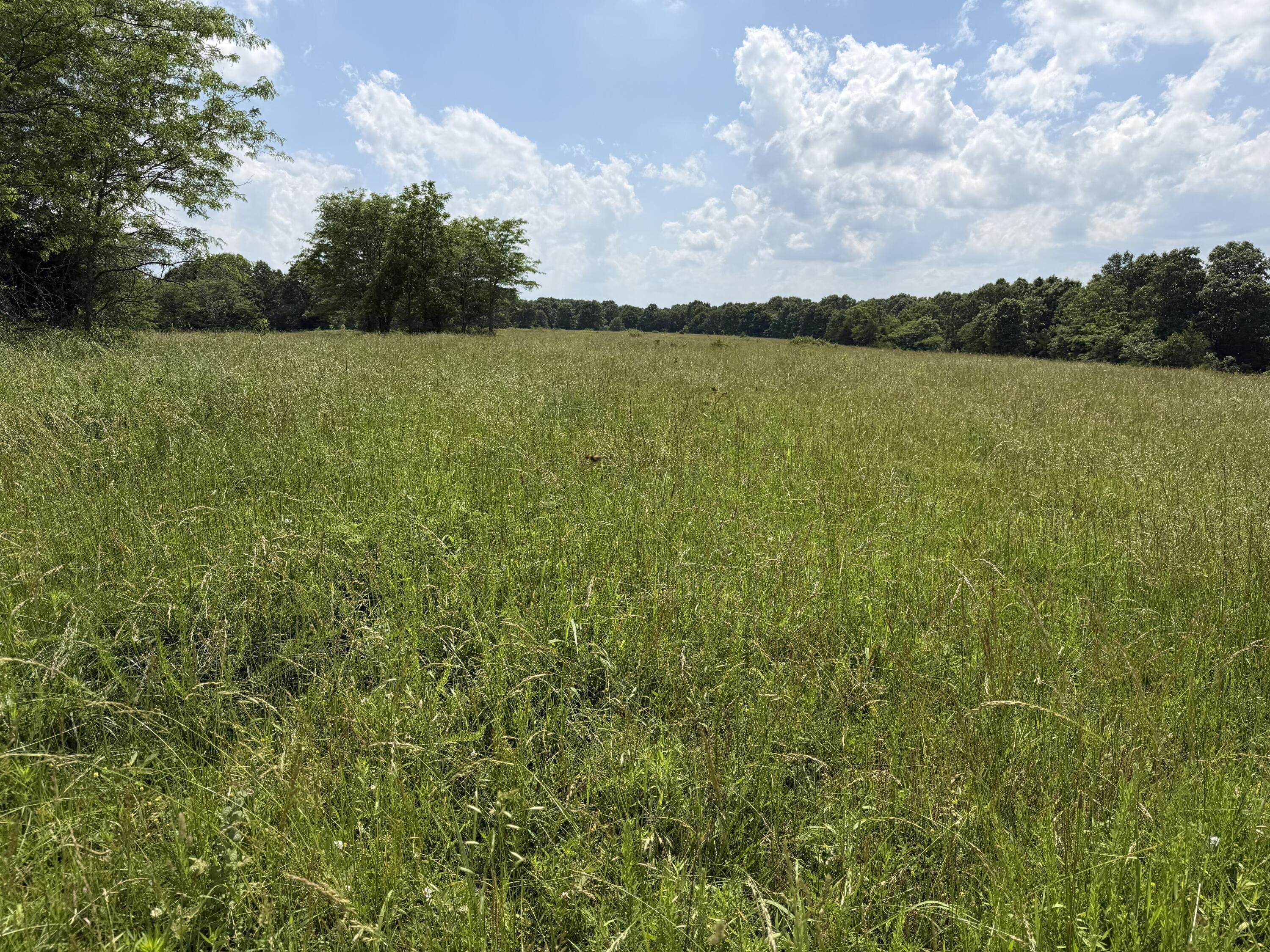 Photo 85 - Farm for sale – 000  Hc66   Sparta, MO