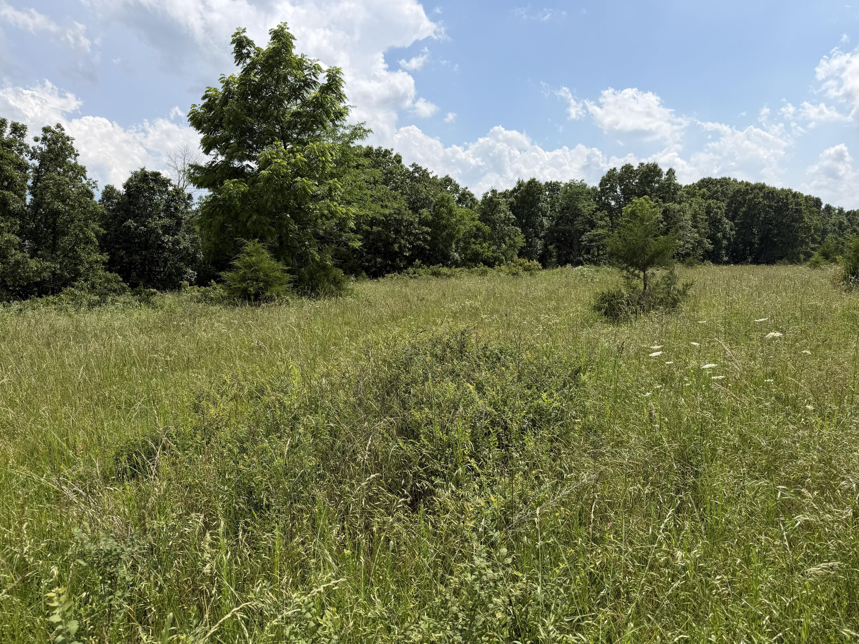 Photo 89 - Farm for sale – 000  Hc66   Sparta, MO