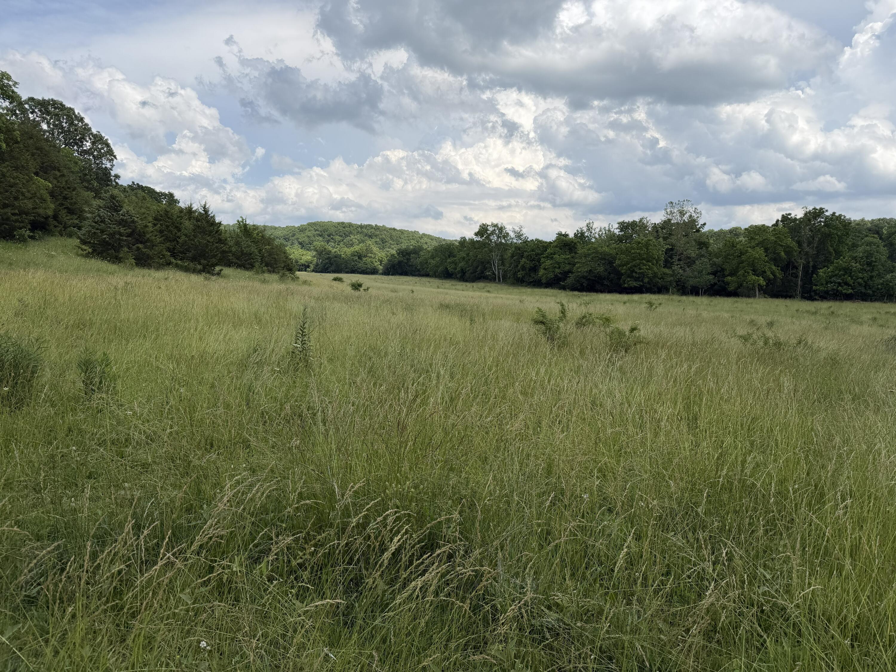 Photo 97 - Farm for sale – 000  Hc66   Sparta, MO
