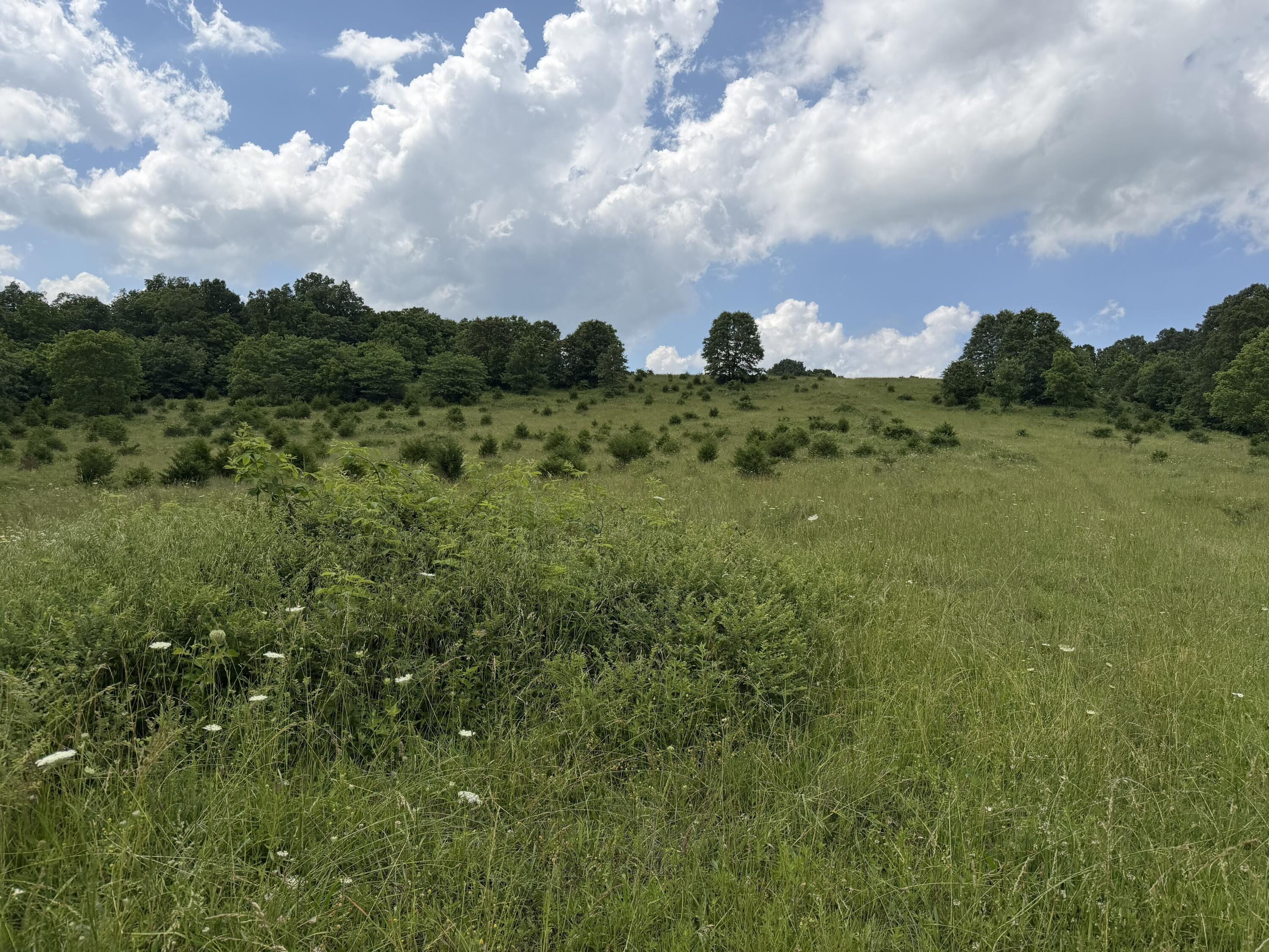 Photo 79 - Farm for sale – 000  Hc66   Sparta, MO