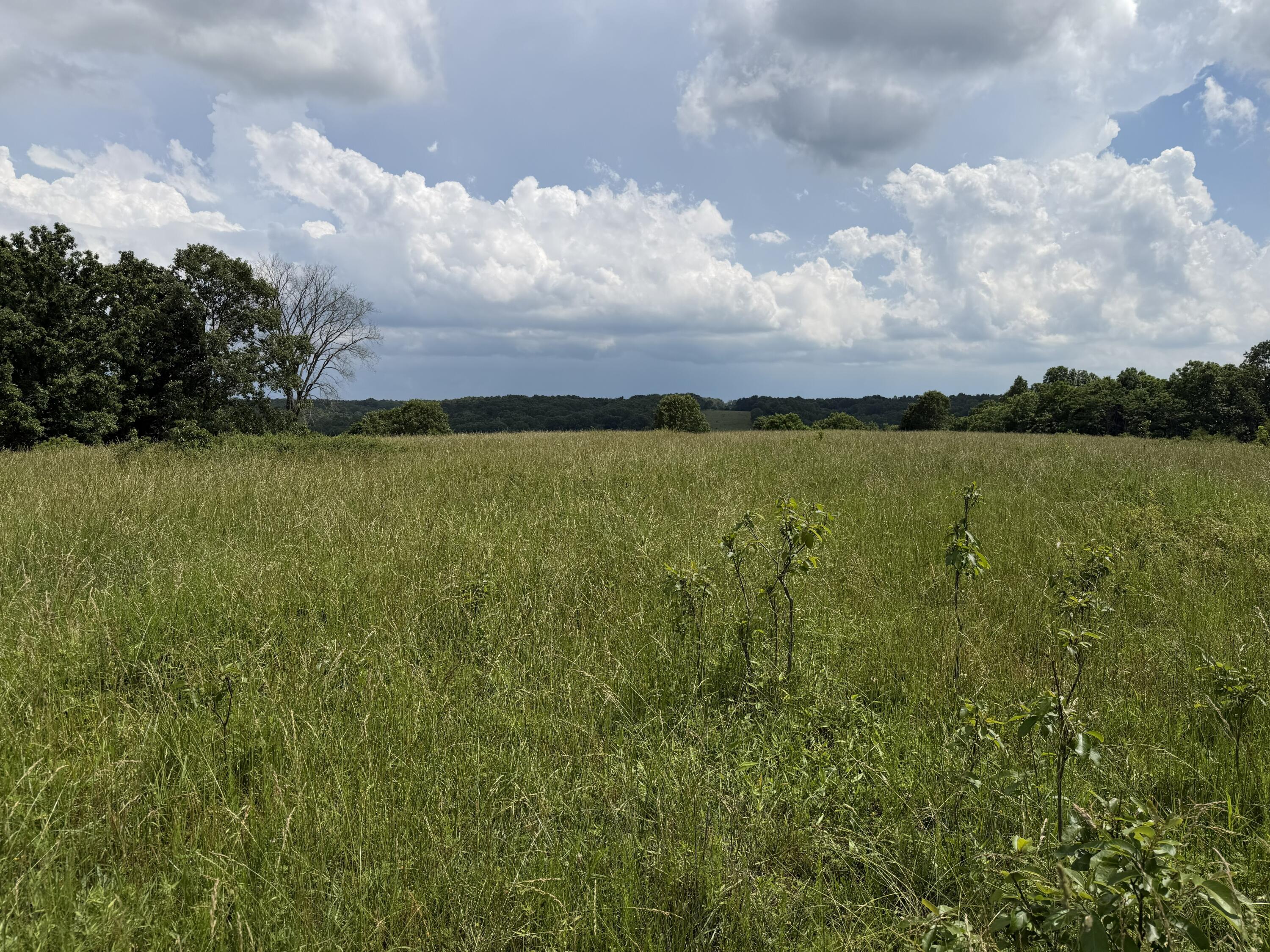 Photo 83 - Farm for sale – 000  Hc66   Sparta, MO