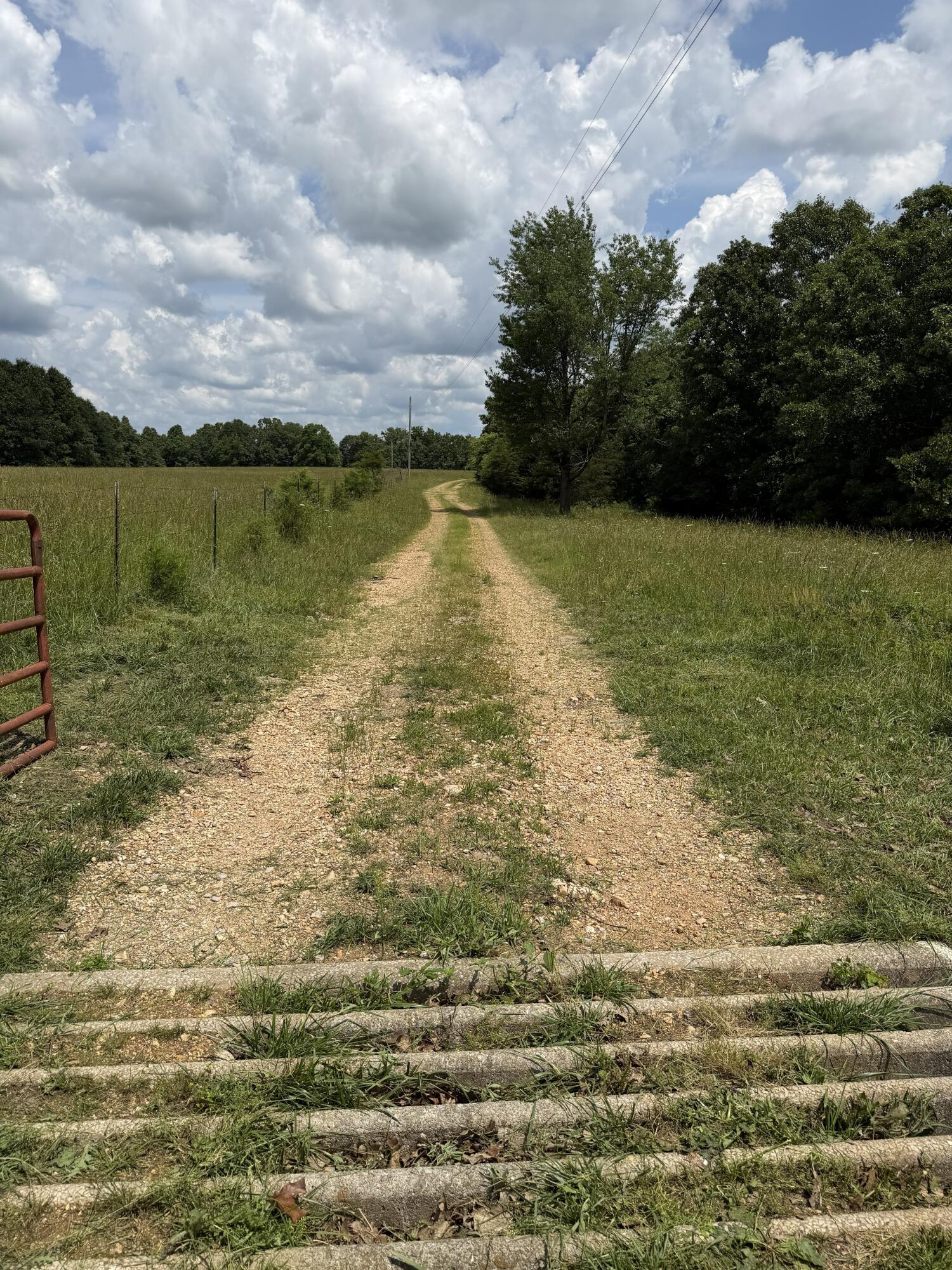Photo 120 - Farm for sale – 000  Hc66   Sparta, MO