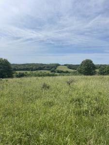 Photo 16 - Farm for sale – 000  Hc66   Sparta, MO