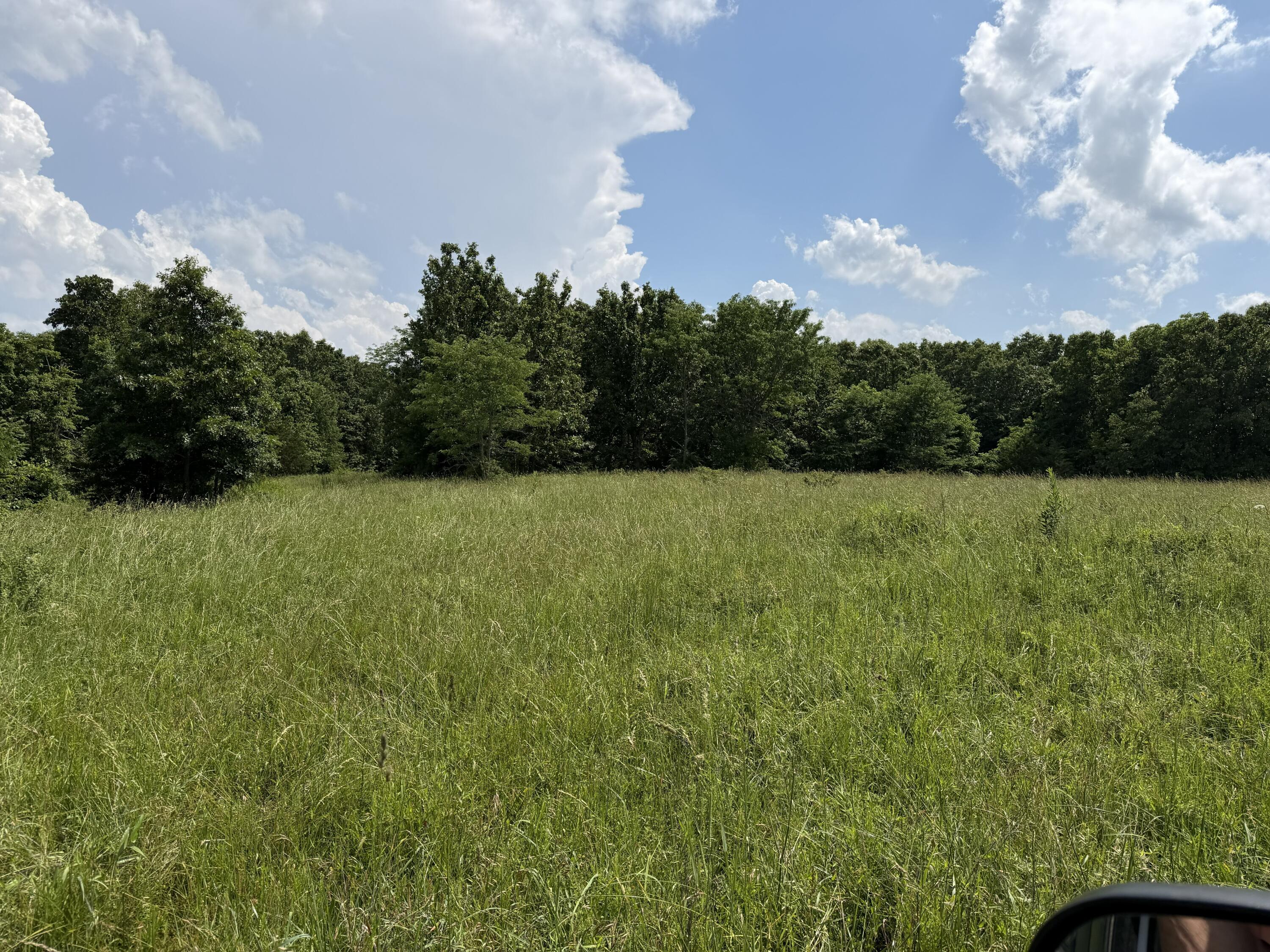 Photo 90 - Farm for sale – 000  Hc66   Sparta, MO