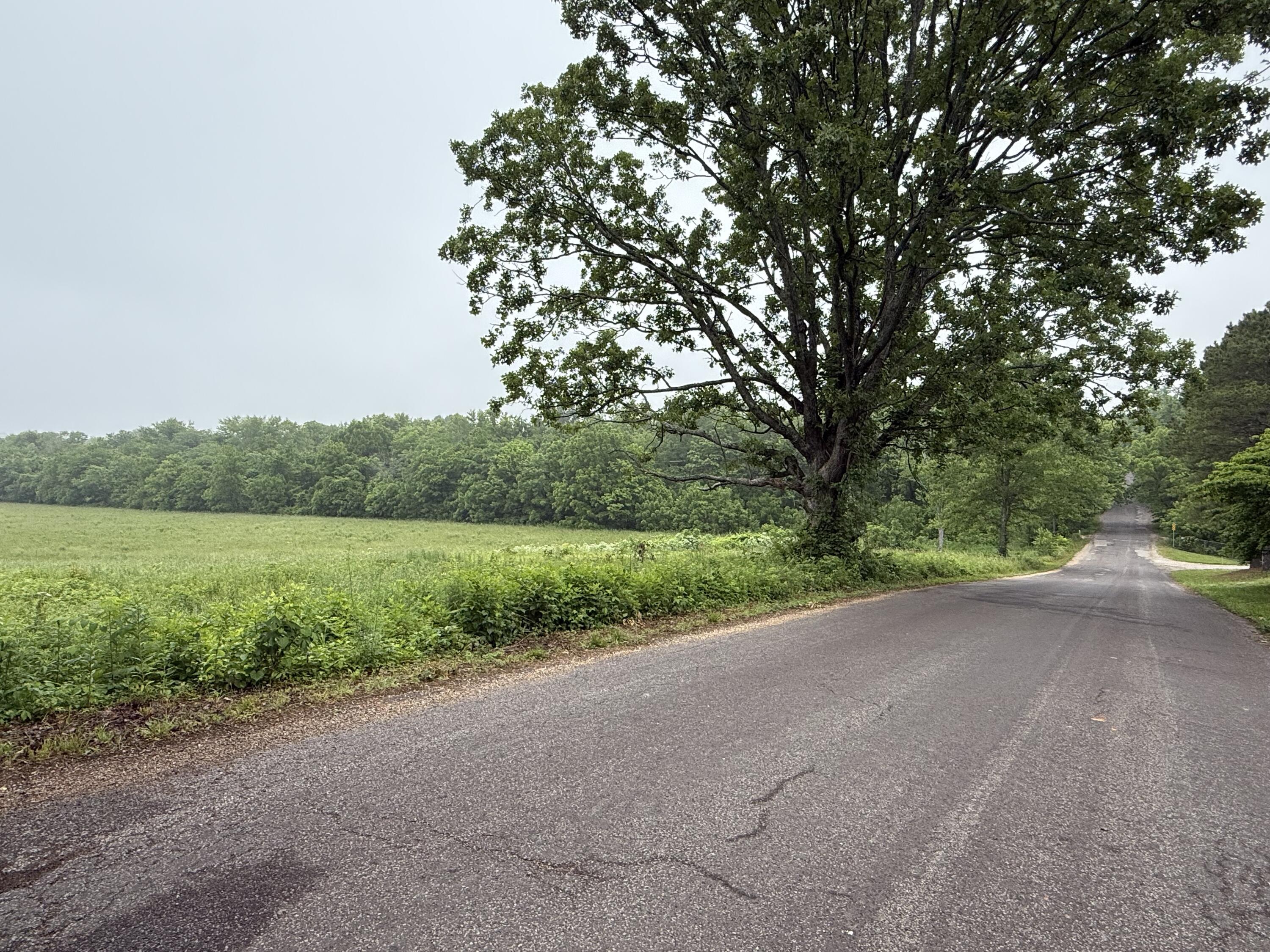 Photo 4 - Land for sale – 000 N Jackson Street  Mountain View, MO