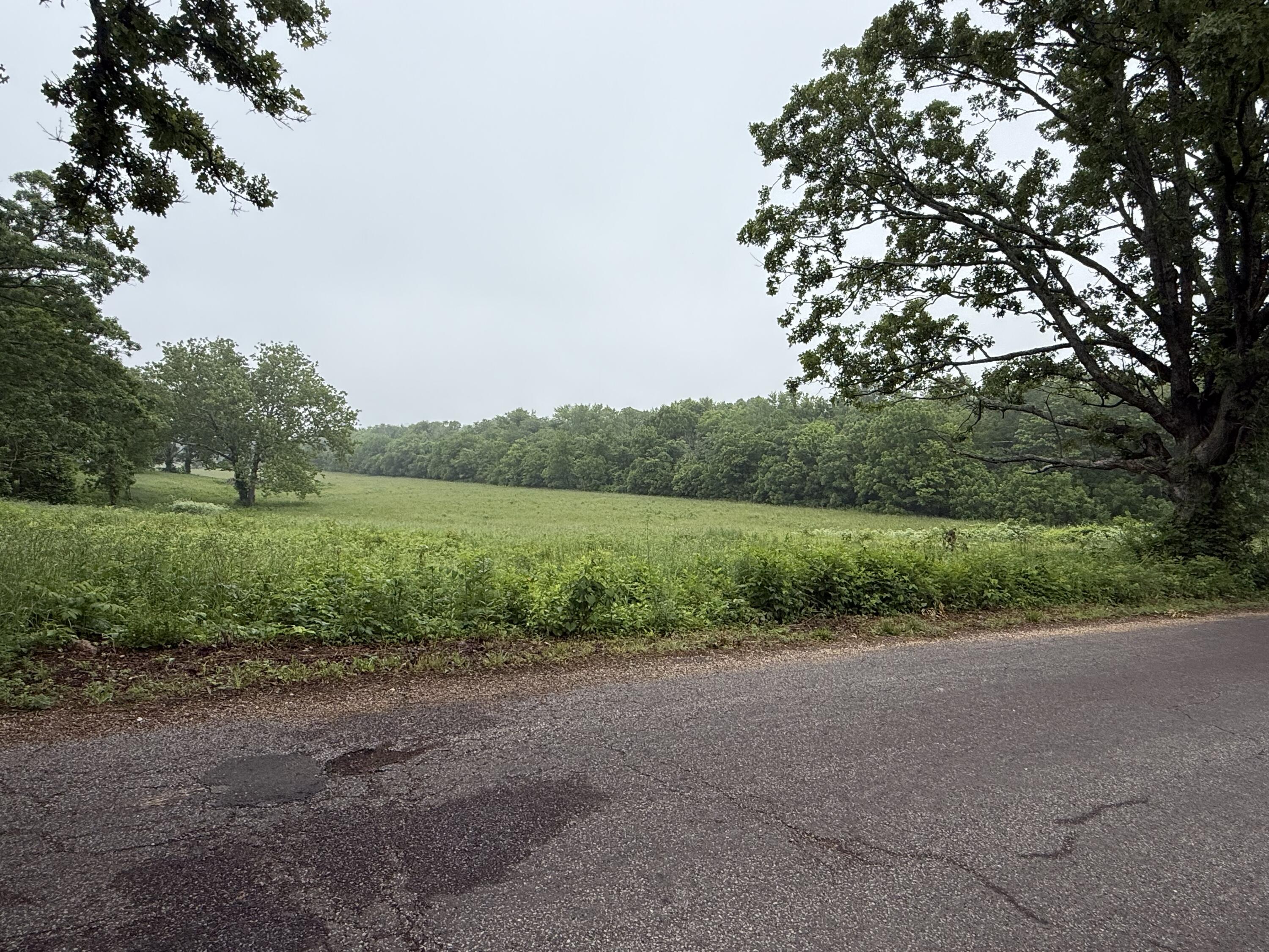 Photo 5 - Land for sale – 000 N Jackson Street  Mountain View, MO