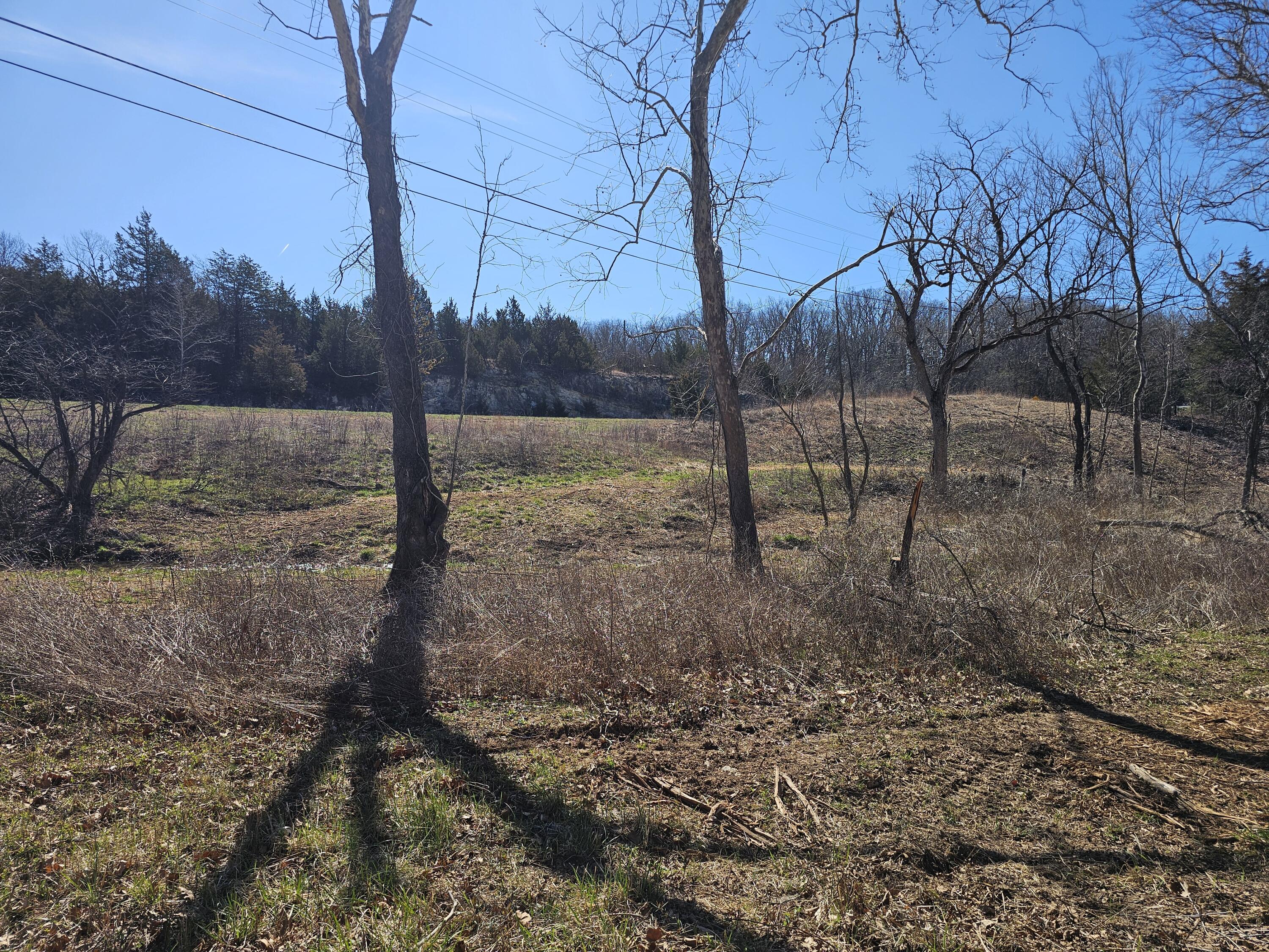 Photo 3 - Land for sale – 000  Mo-64   Pittsburg, MO