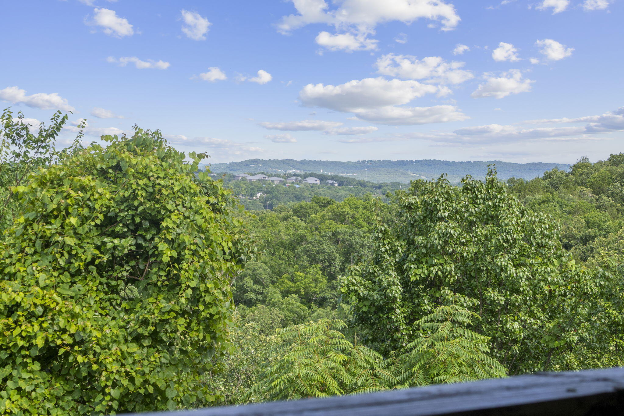 Photo 48 - Residential for sale – 2901  Vinyards Parkway  Branson, MO