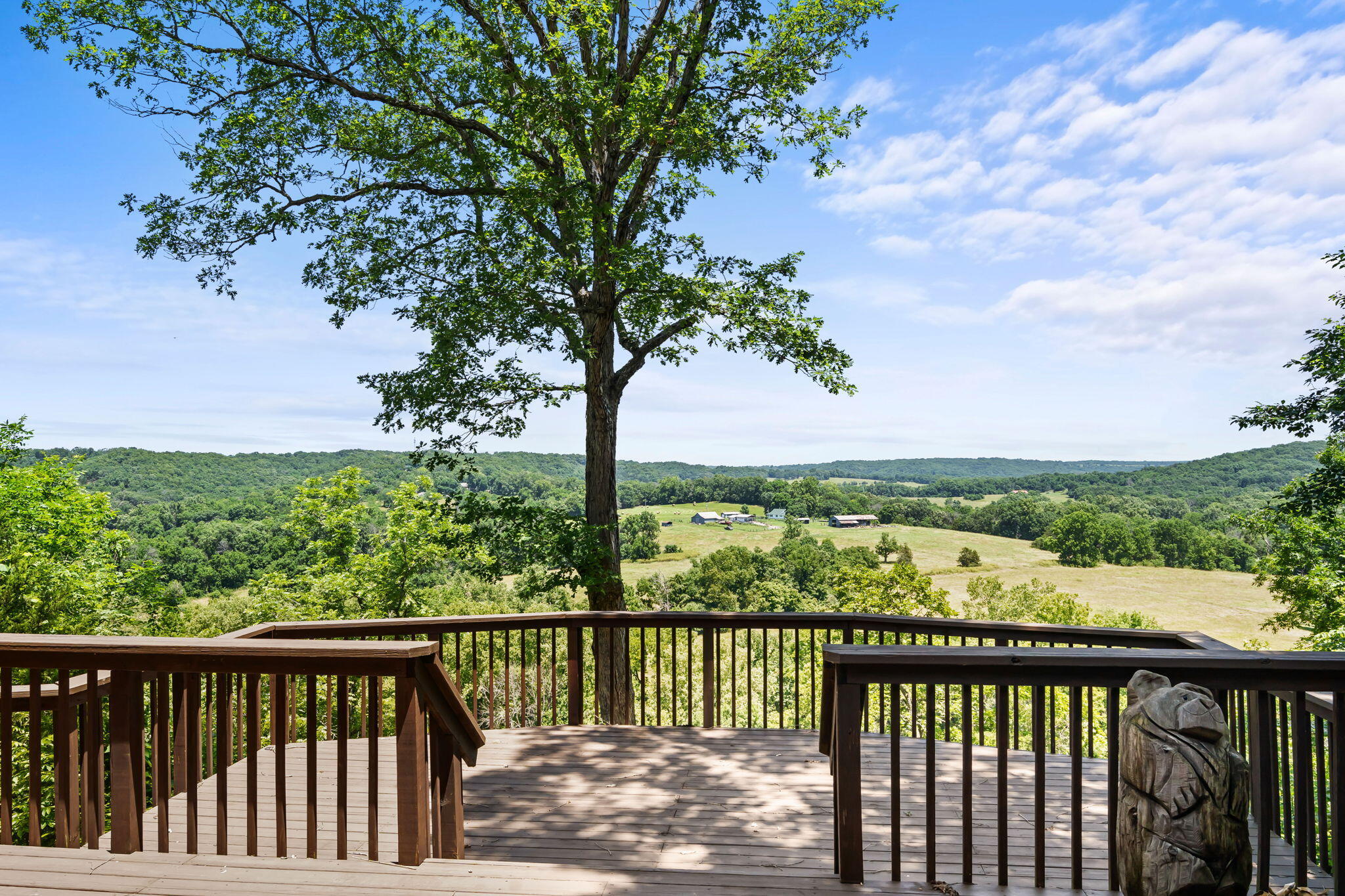Photo 5 - Residential for sale – 37  Wild Horse Lane  Galena, MO