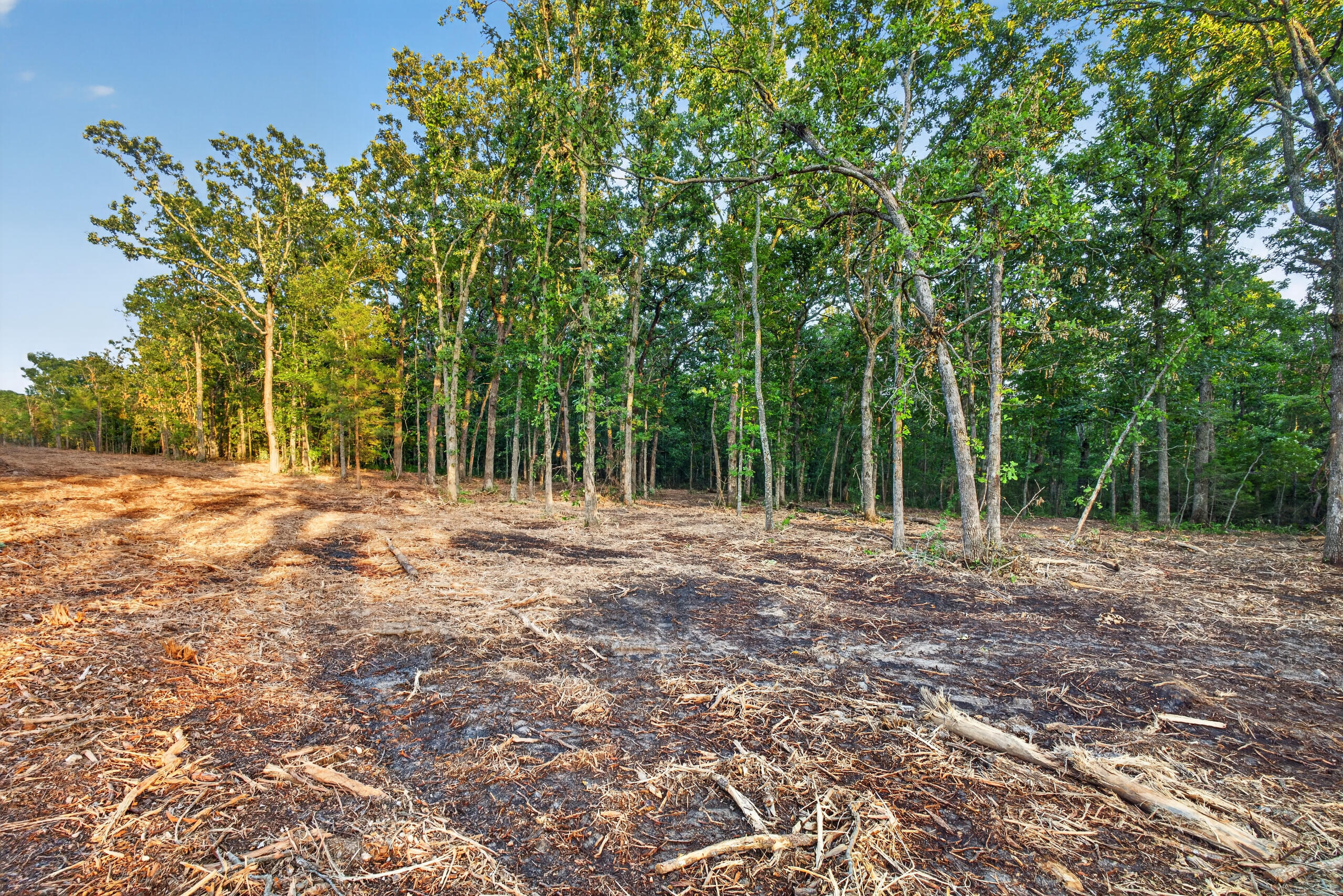 Photo 6 - Land for sale – 003  Cantrell Road  Mansfield, MO