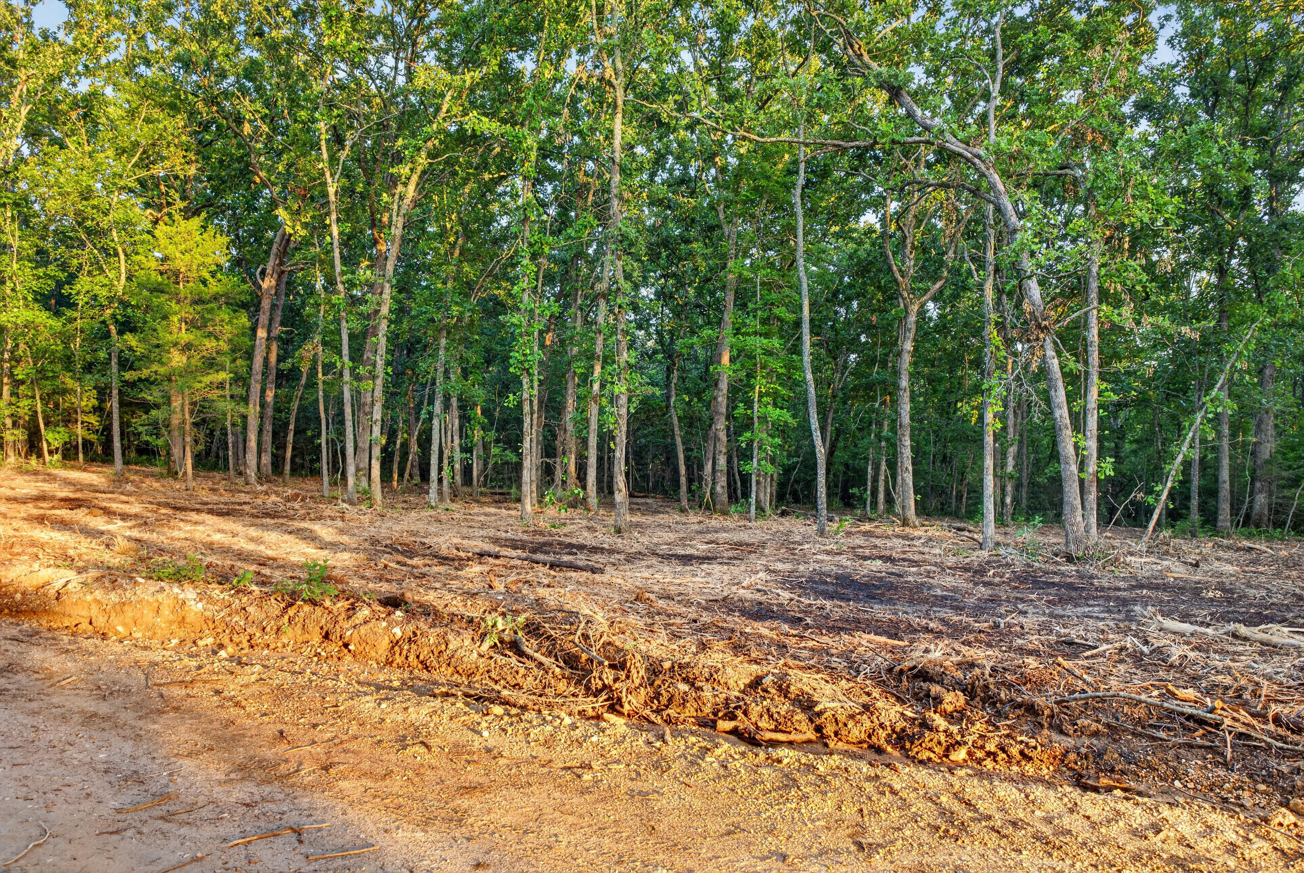 Photo 5 - Land for sale – 003  Cantrell Road  Mansfield, MO