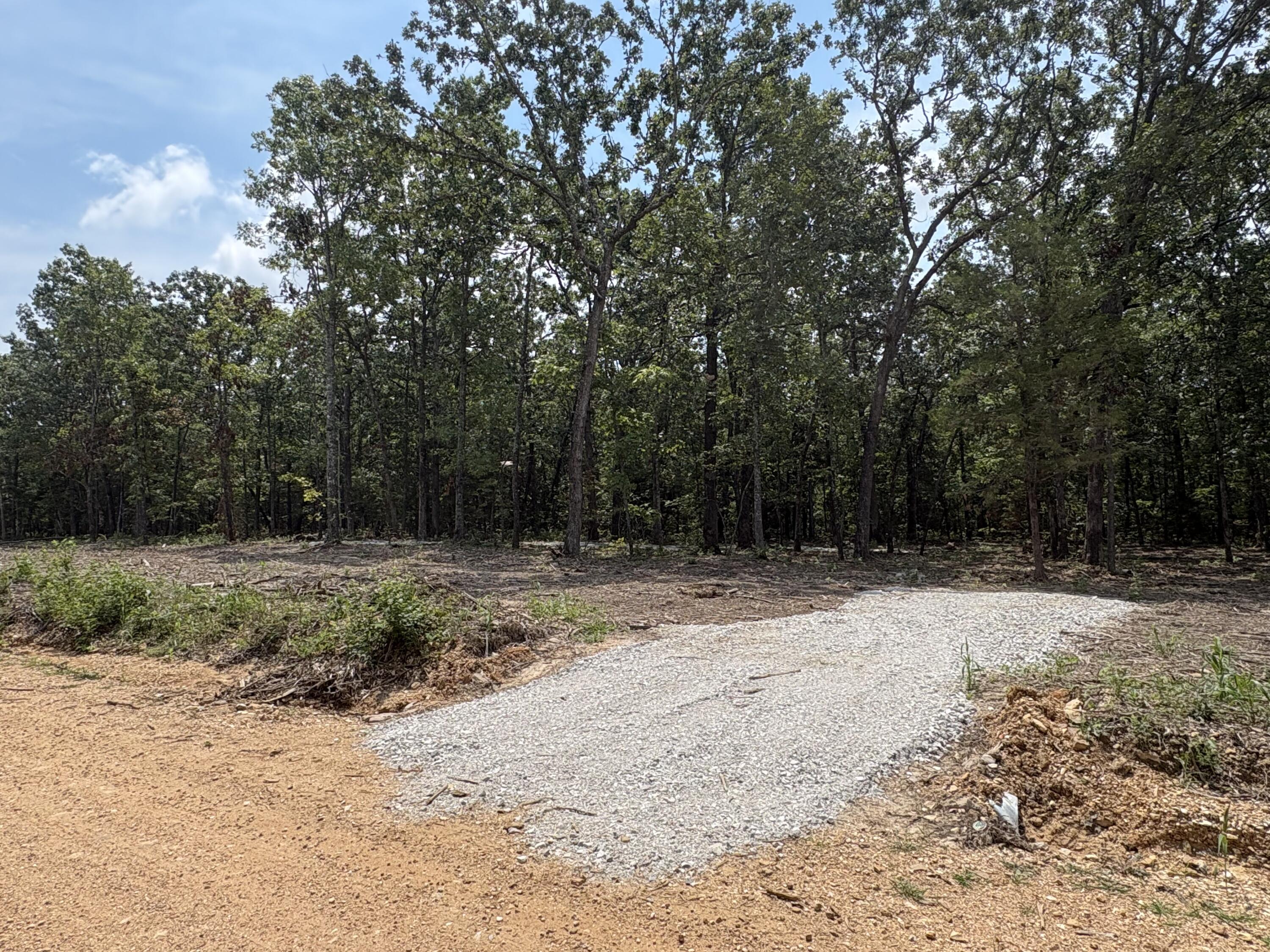 Photo 3 - Land for sale – 003  Cantrell Road  Mansfield, MO