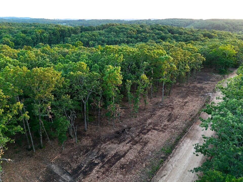 Photo 4 - Land for sale – 003  Cantrell Road  Mansfield, MO