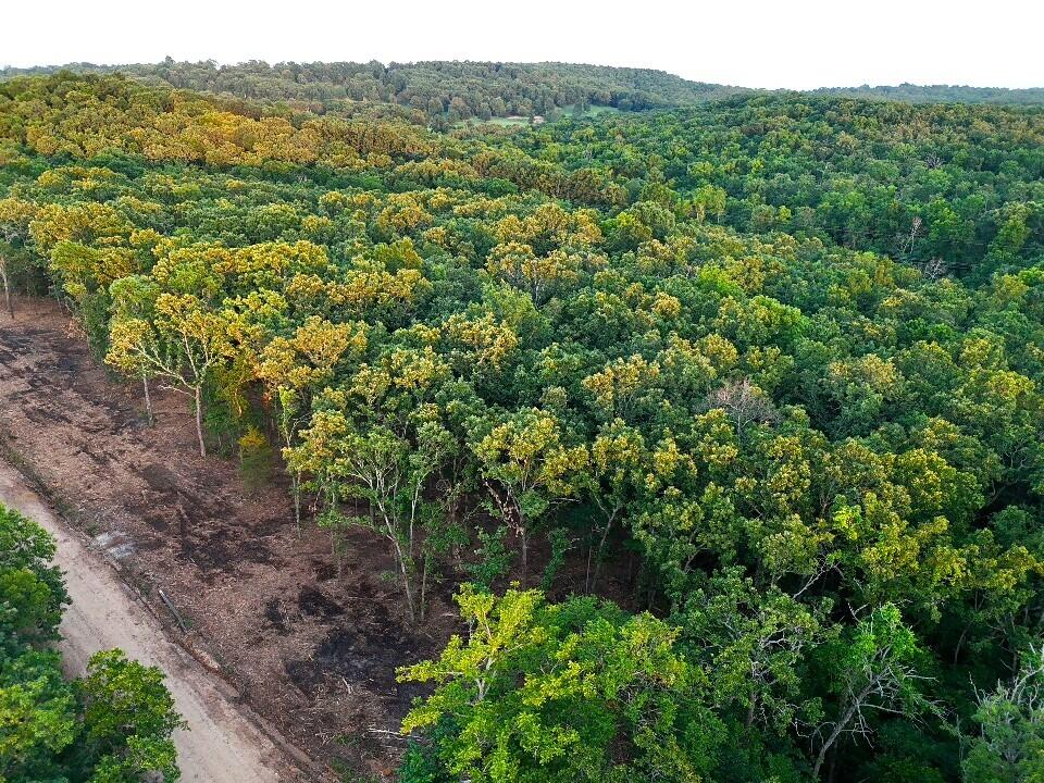 Land for sale – 003  Cantrell Road  Mansfield, MO