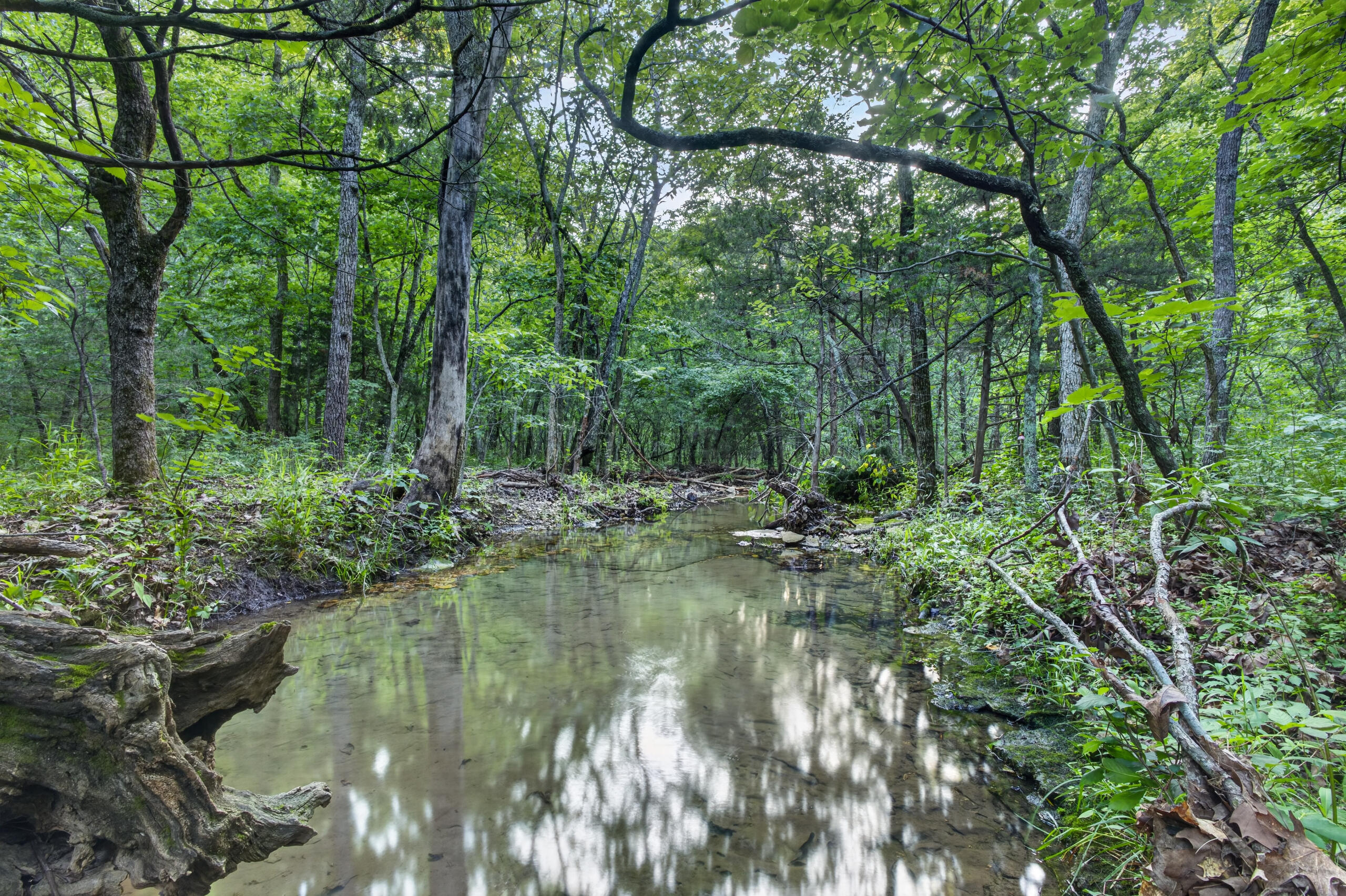 Photo 9 - Land for sale – 003  Cantrell Road  Mansfield, MO