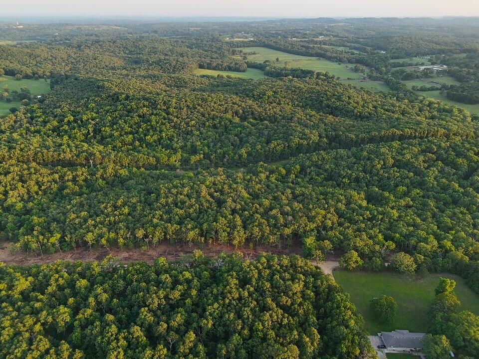 Photo 13 - Land for sale – 003  Cantrell Road  Mansfield, MO