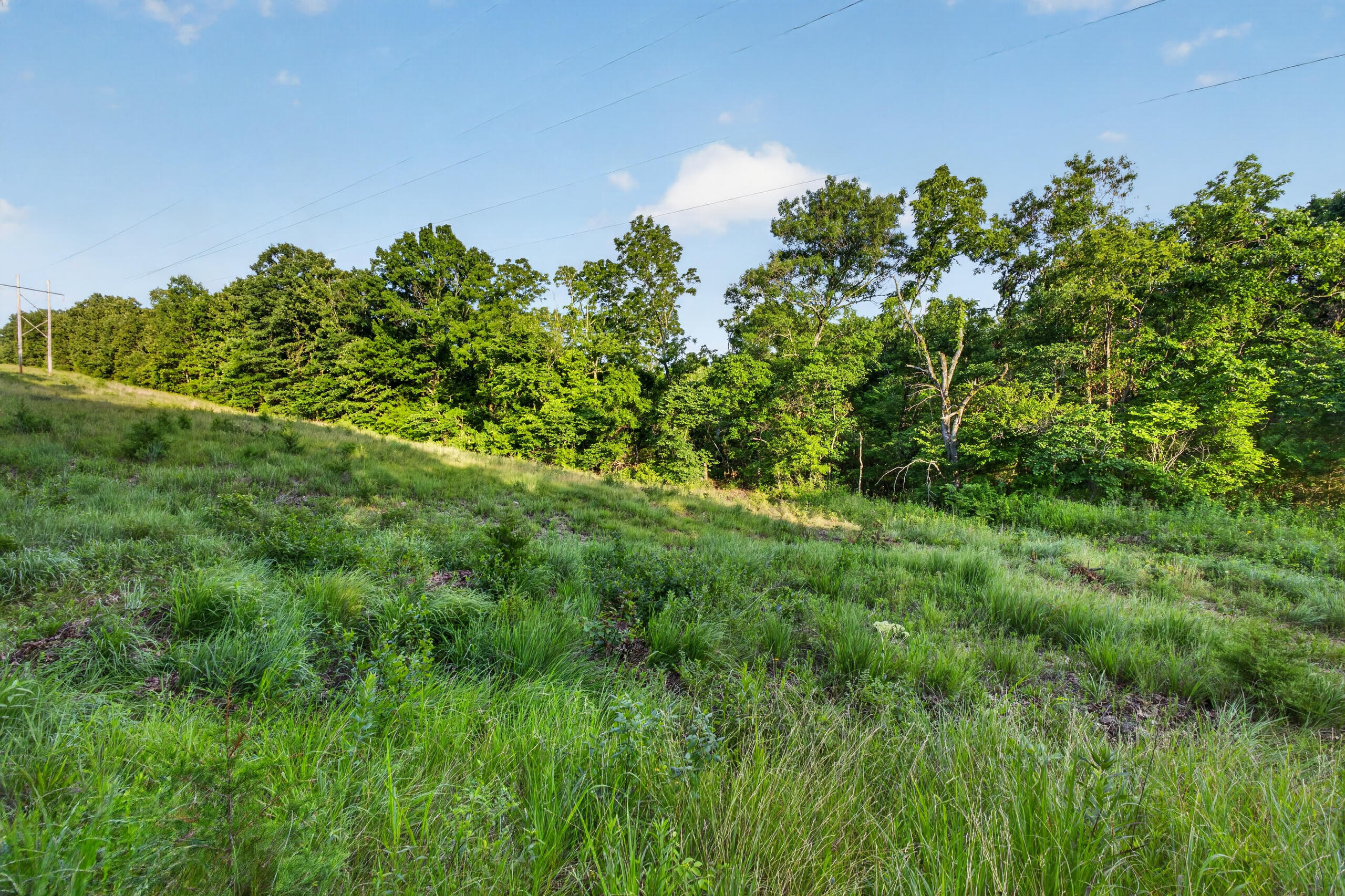 Photo 11 - Land for sale – 003  Cantrell Road  Mansfield, MO