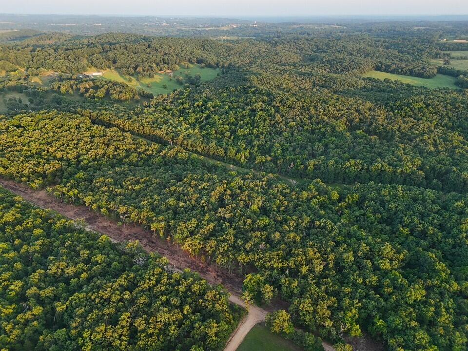 Photo 14 - Land for sale – 003  Cantrell Road  Mansfield, MO