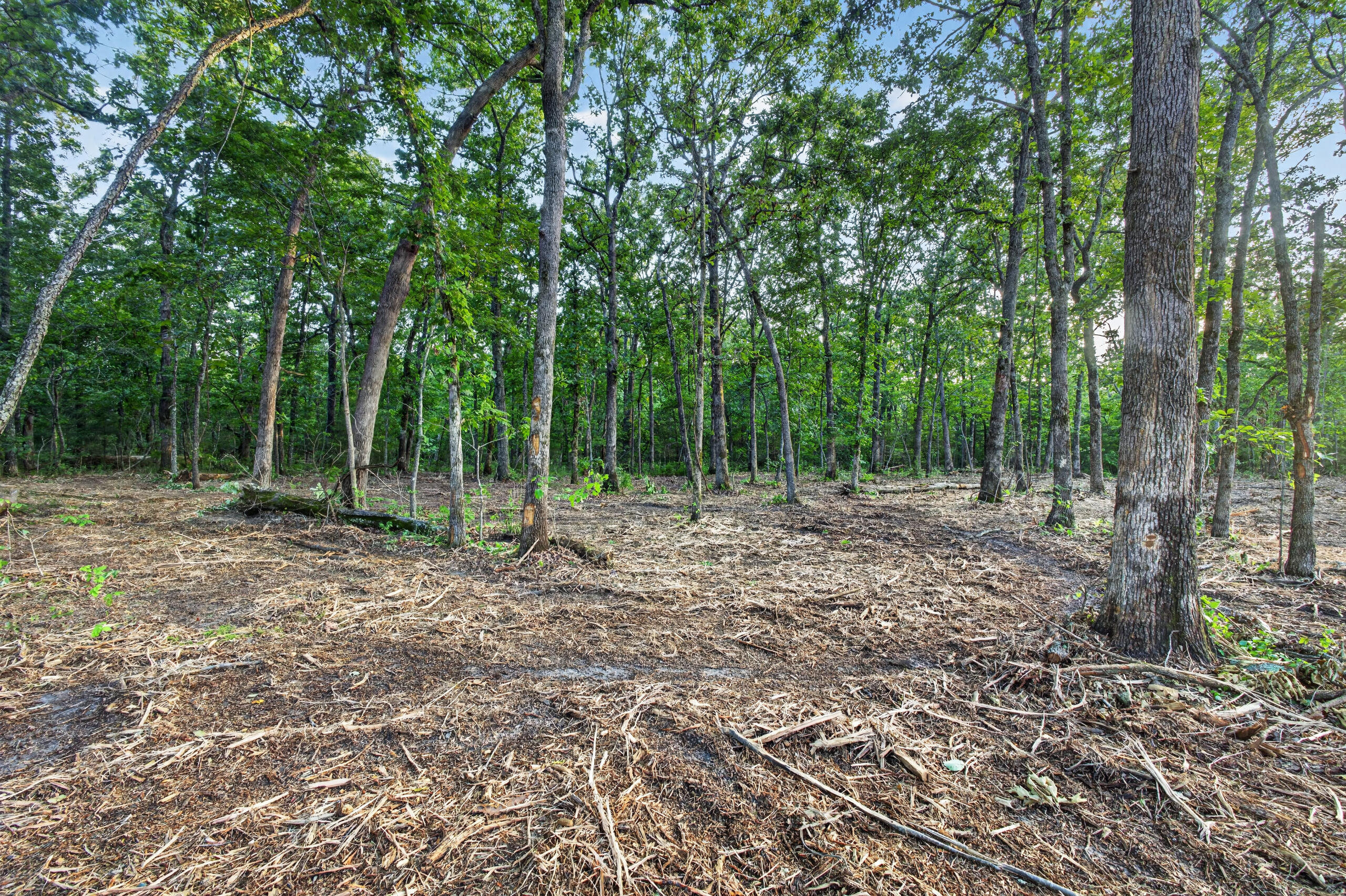 Photo 7 - Land for sale – 003  Cantrell Road  Mansfield, MO