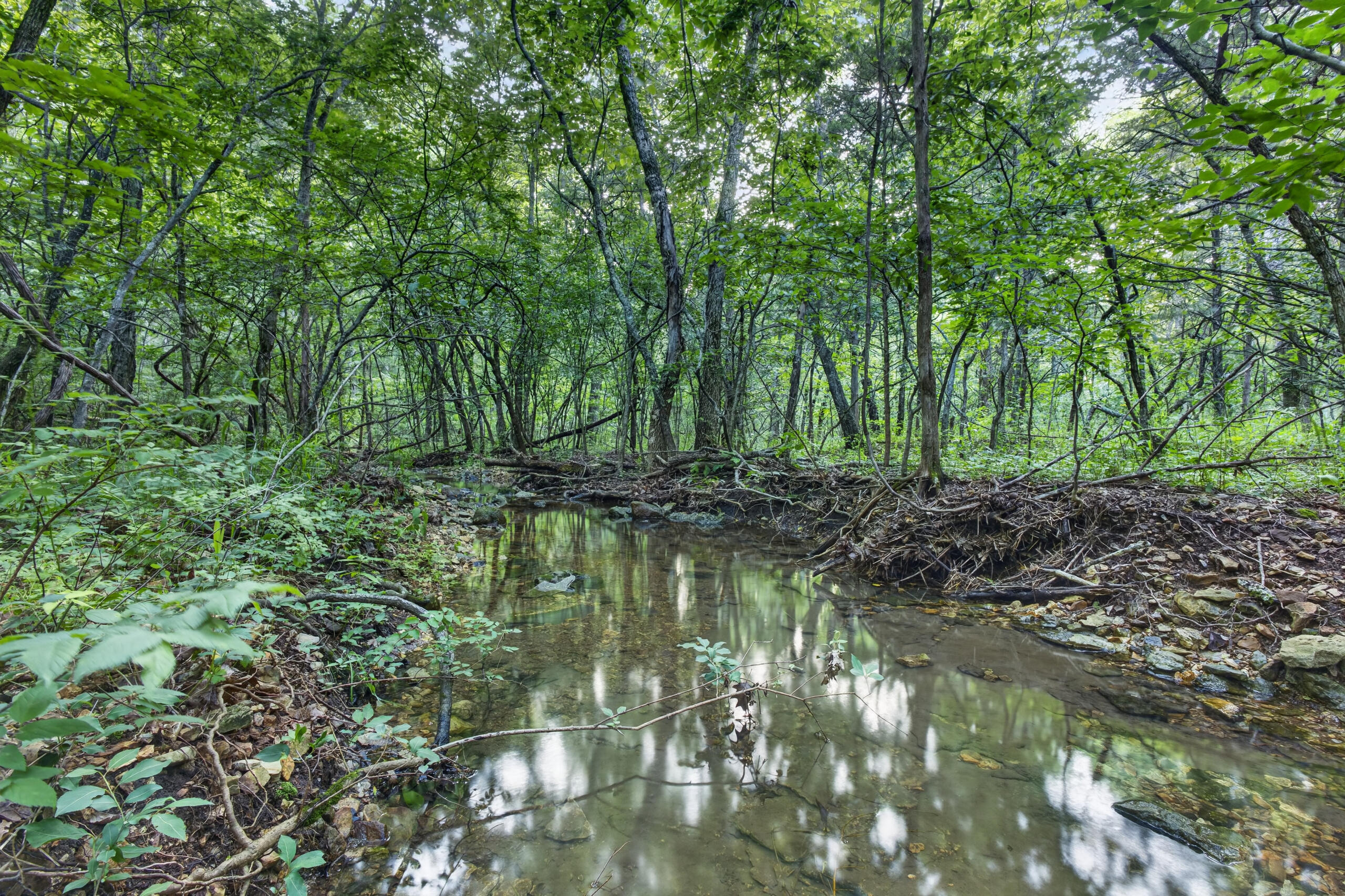 Photo 10 - Land for sale – 003  Cantrell Road  Mansfield, MO