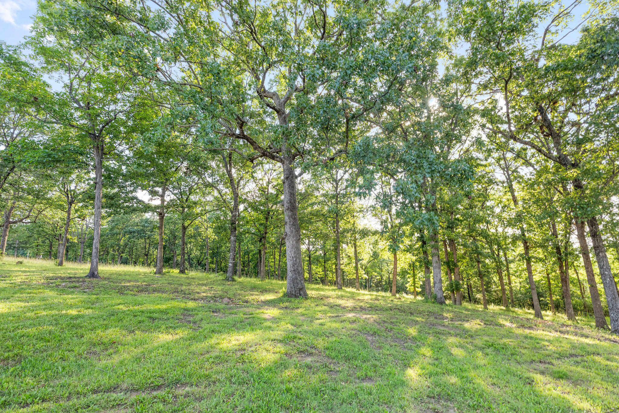 Photo 43 - Residential for sale – 2506  Victor Church Road  Branson, MO