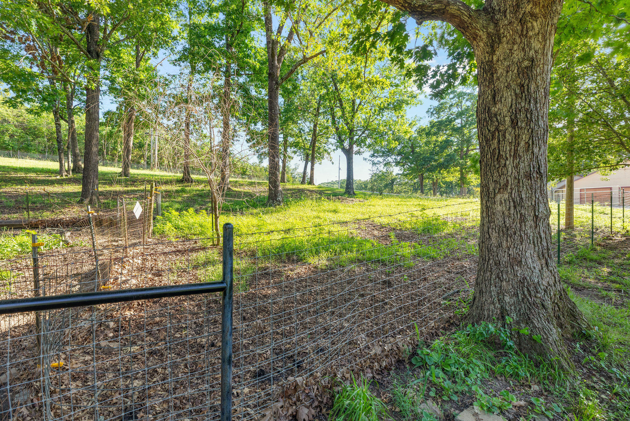 Photo 39 - Residential for sale – 2506  Victor Church Road  Branson, MO