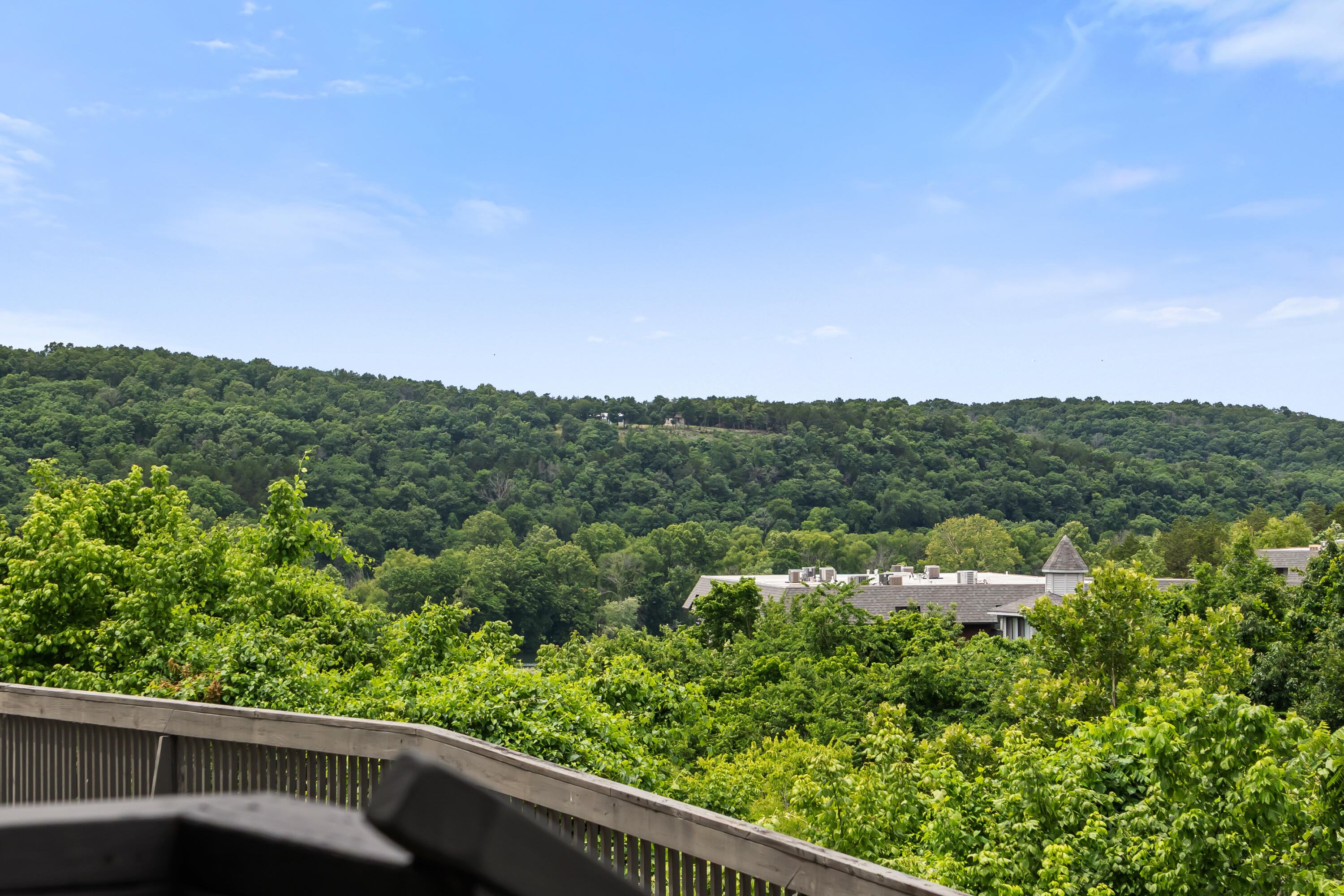 Photo 31 - Residential for sale – 150  Sunken Forest Drive  Forsyth, MO