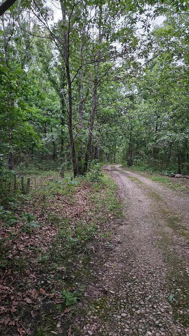 Photo 3 - Land for sale – 630  Cross Creek Road  Marshfield, MO